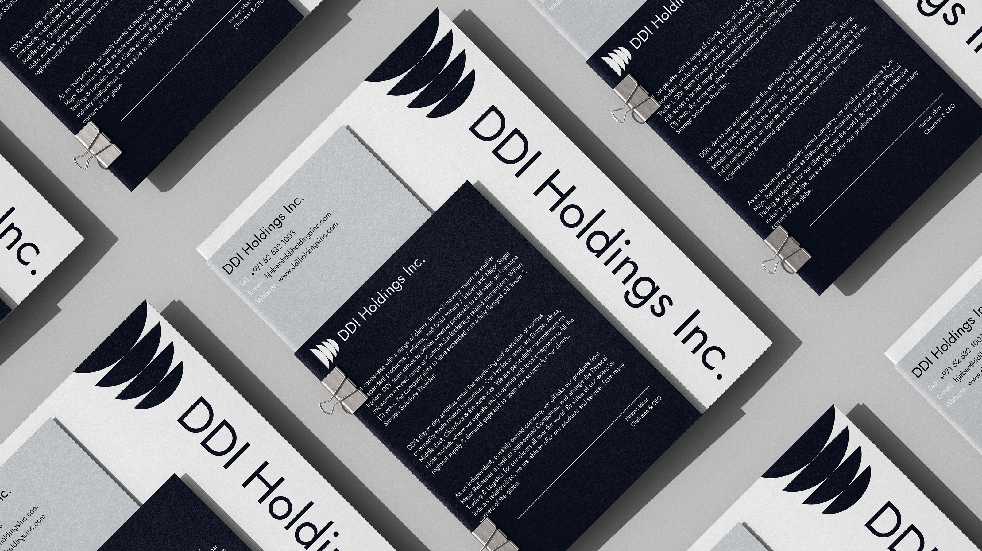 DDI Holdings Inc - Brand Identity, Logo Design — Изображение №15 — Брендинг, Графика на Dprofile