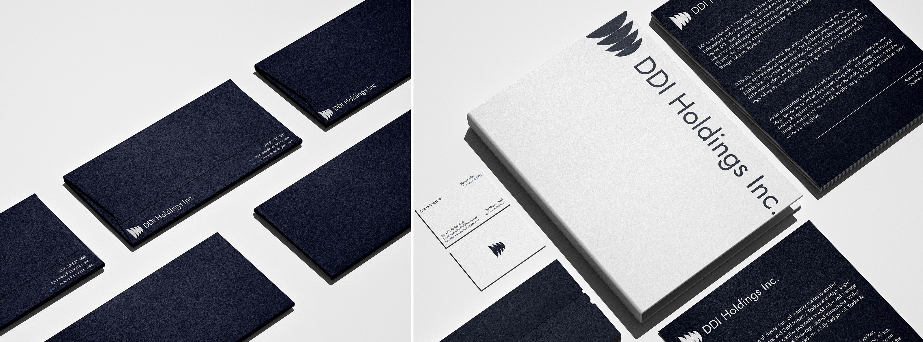DDI Holdings Inc - Brand Identity, Logo Design — Изображение №13 — Брендинг, Графика на Dprofile