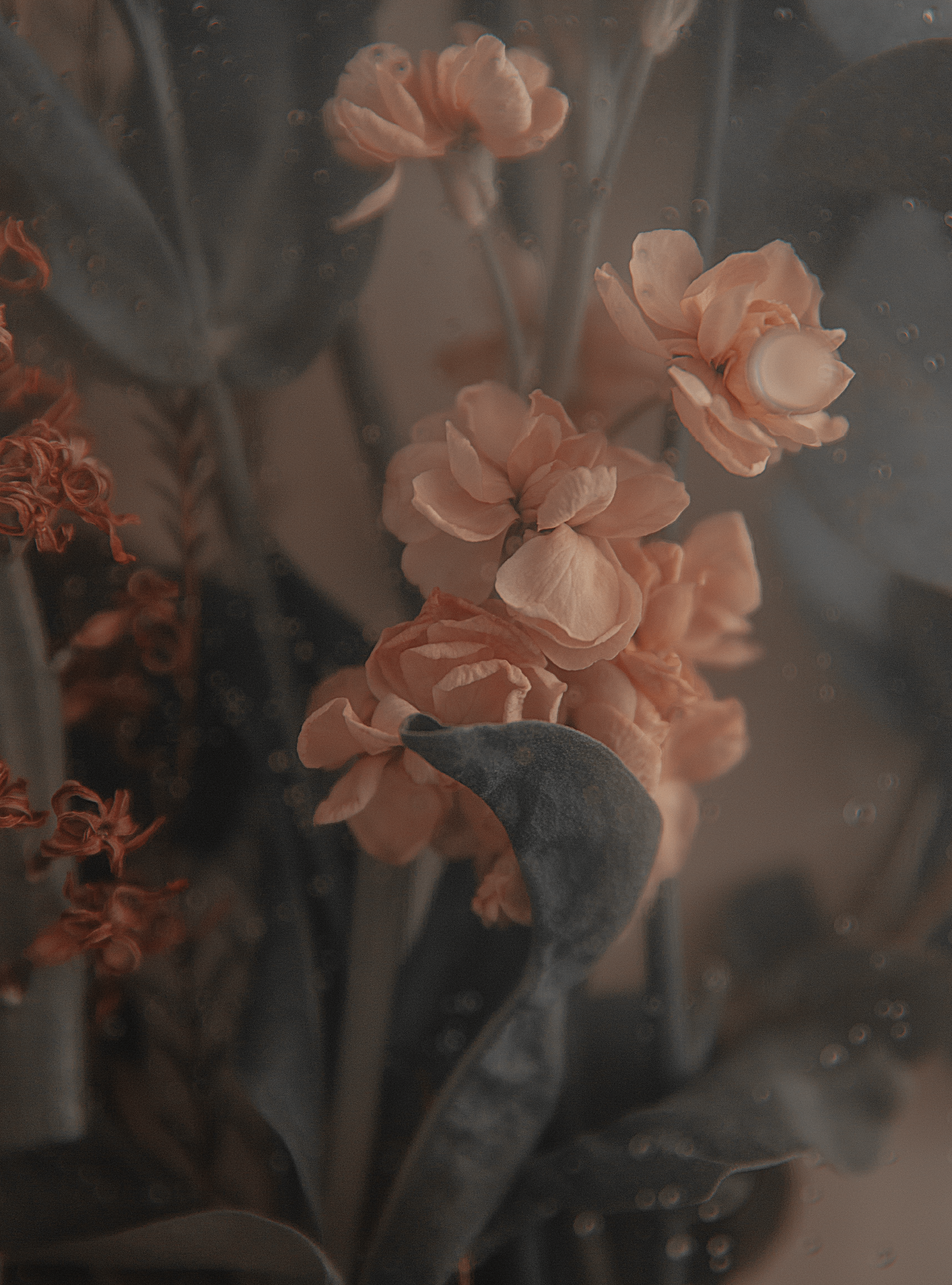 Brand identity for flower delivery — Изображение №7 — Брендинг на Dprofile