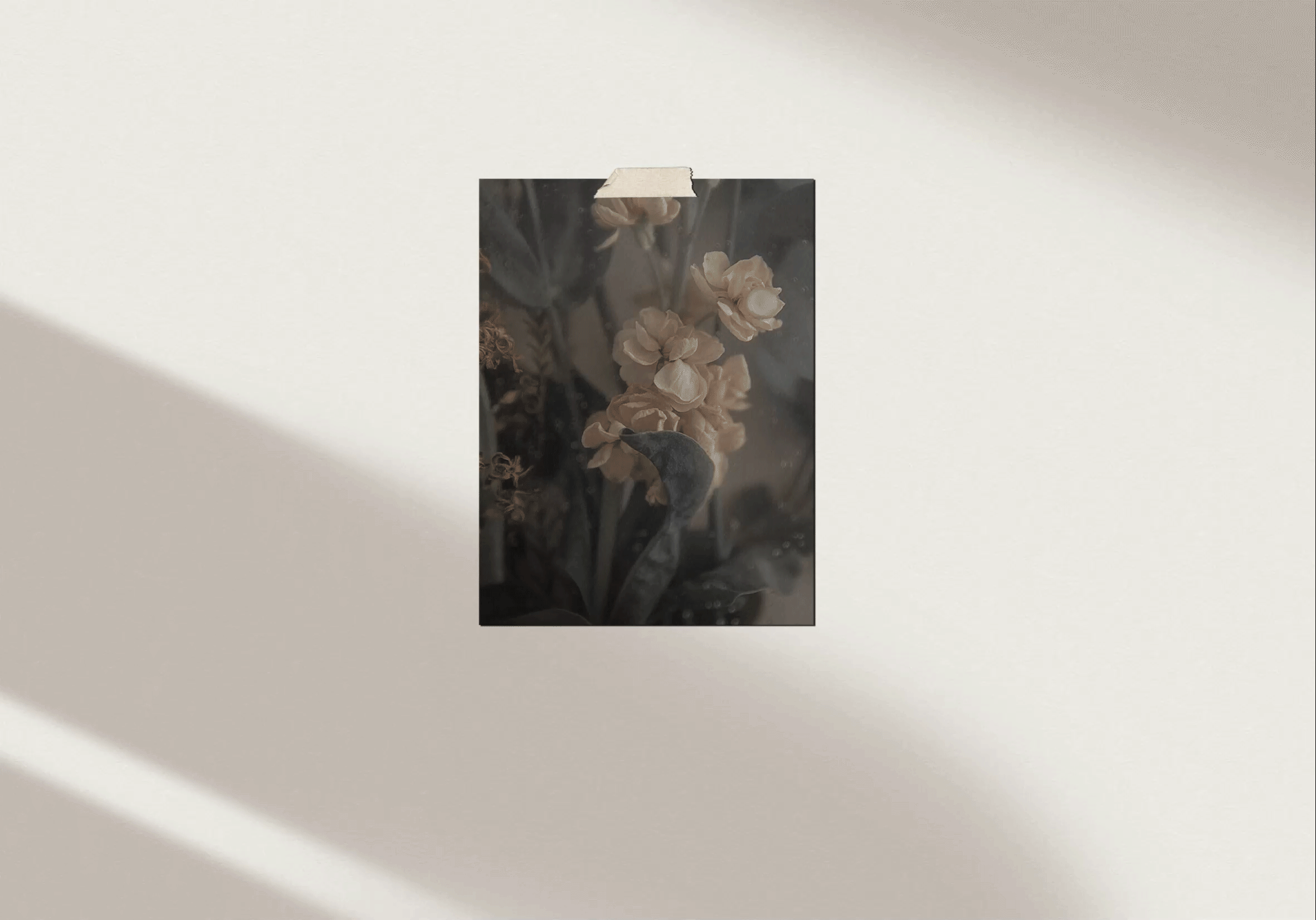 Brand identity for flower delivery — Изображение №3 — Брендинг на Dprofile