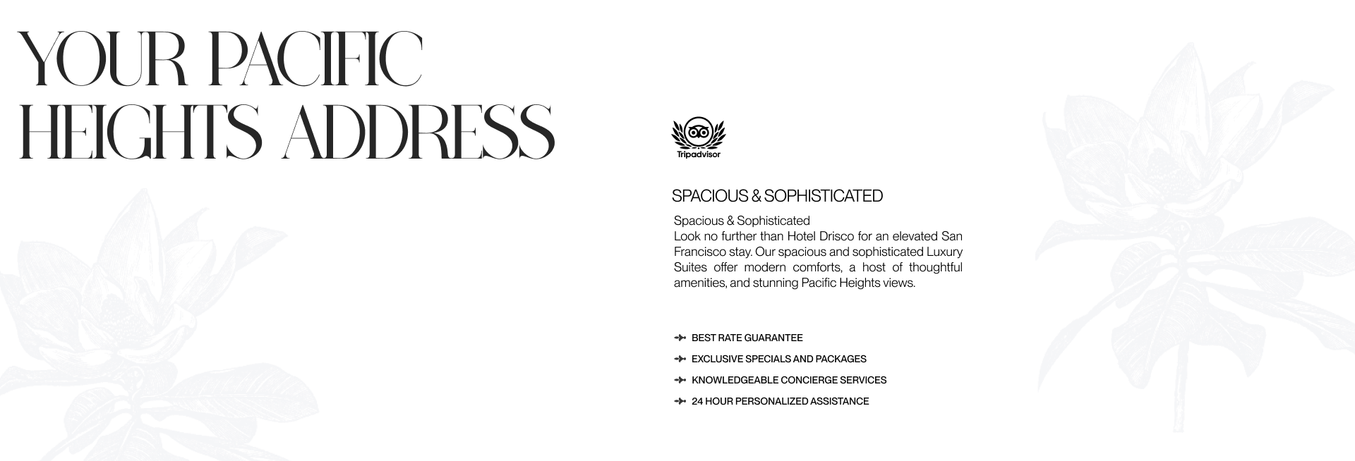 Hotel Drisco | Corporate website redesign — Изображение №2 — Интерфейсы, Брендинг на Dprofile