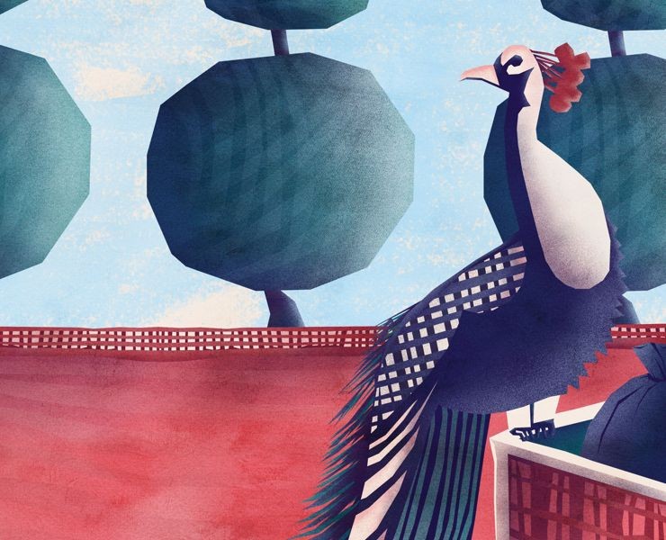 Прототип карточной игры «Díomhair» на Dprofile