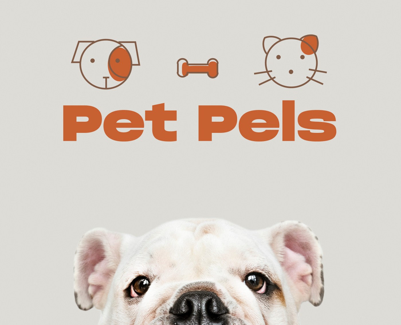 Brand identity for a pet shop. Logo — Брендинг, Графика на Dprofile
