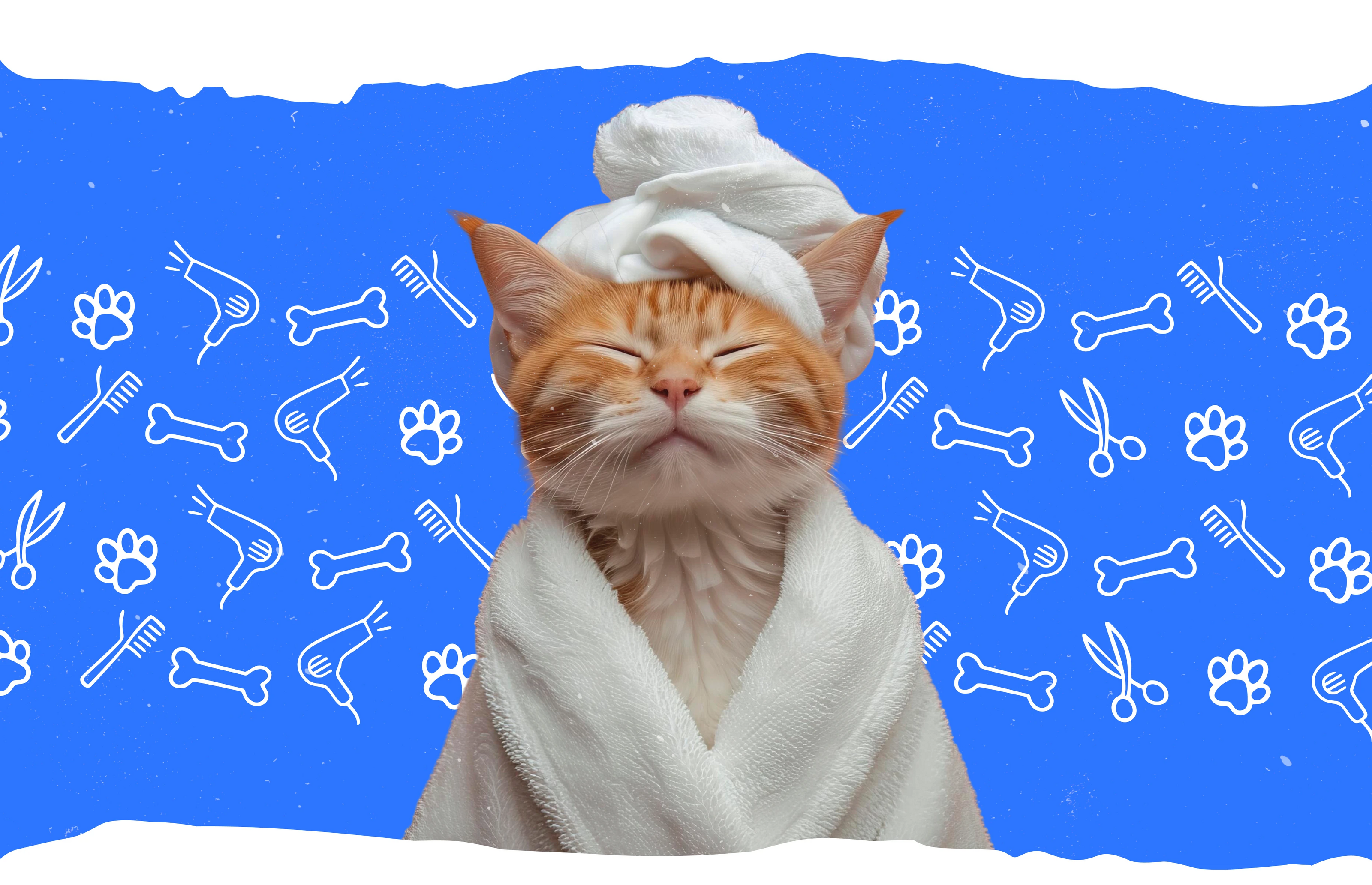 Логотип | Фирменный стиль | Груминг | Нейминг — Изображение №3 — Брендинг на Dprofile