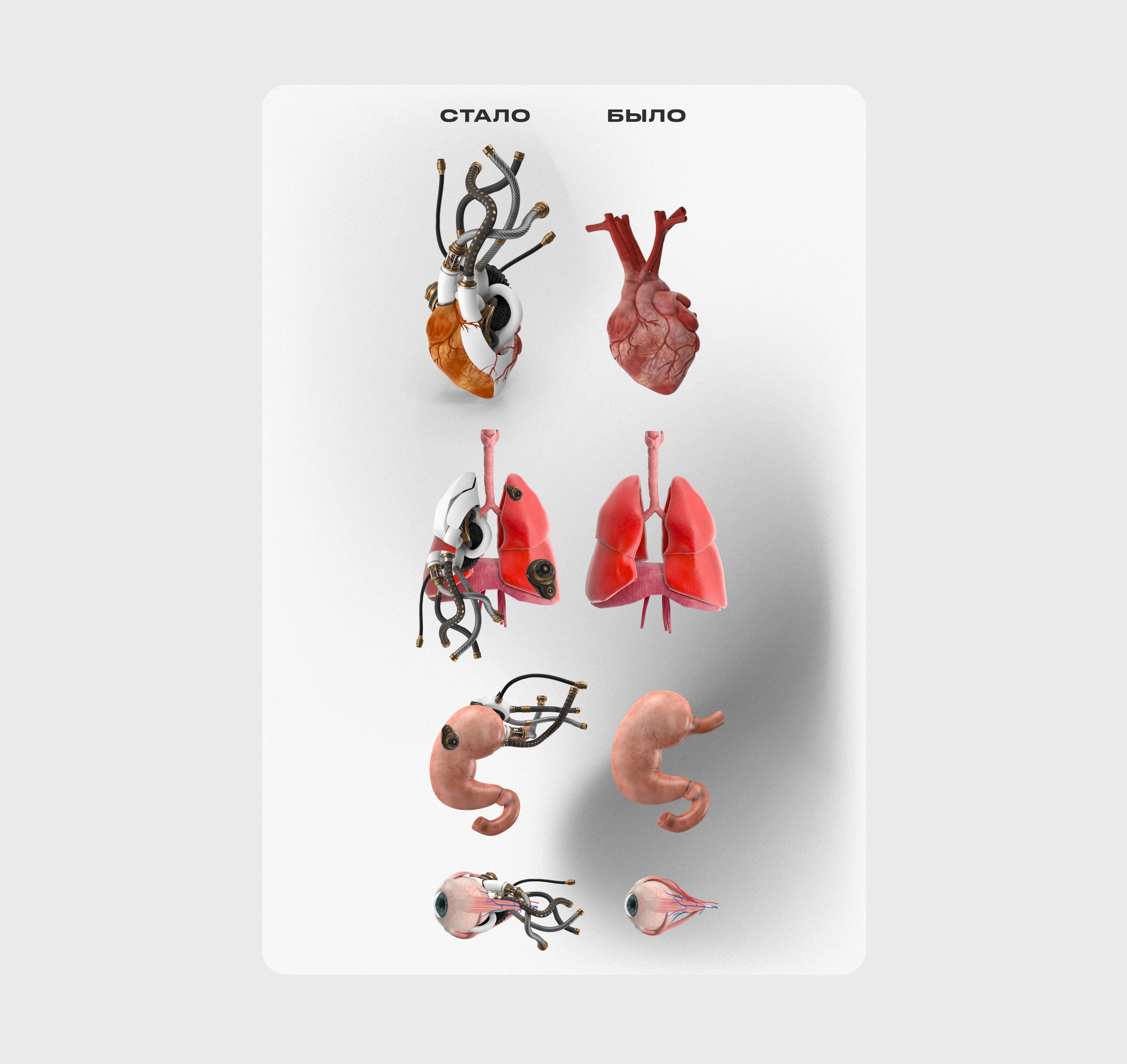 Биомеханические органы. Хирургия. Протезы — Изображение №2 — Графика, 3D на Dprofile