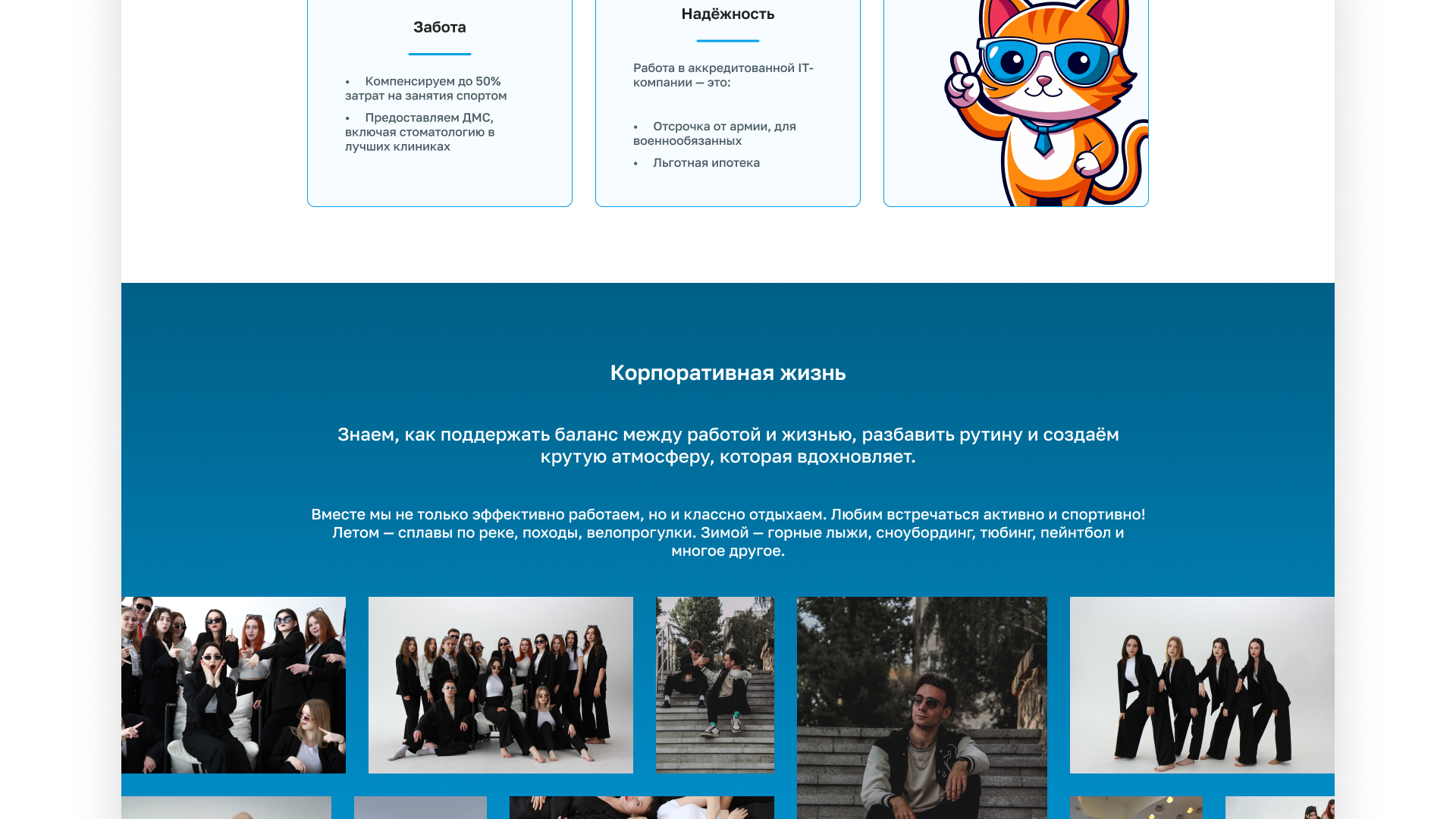 Лендинг для OpenDEV — Изображение №10 — Интерфейсы на Dprofile