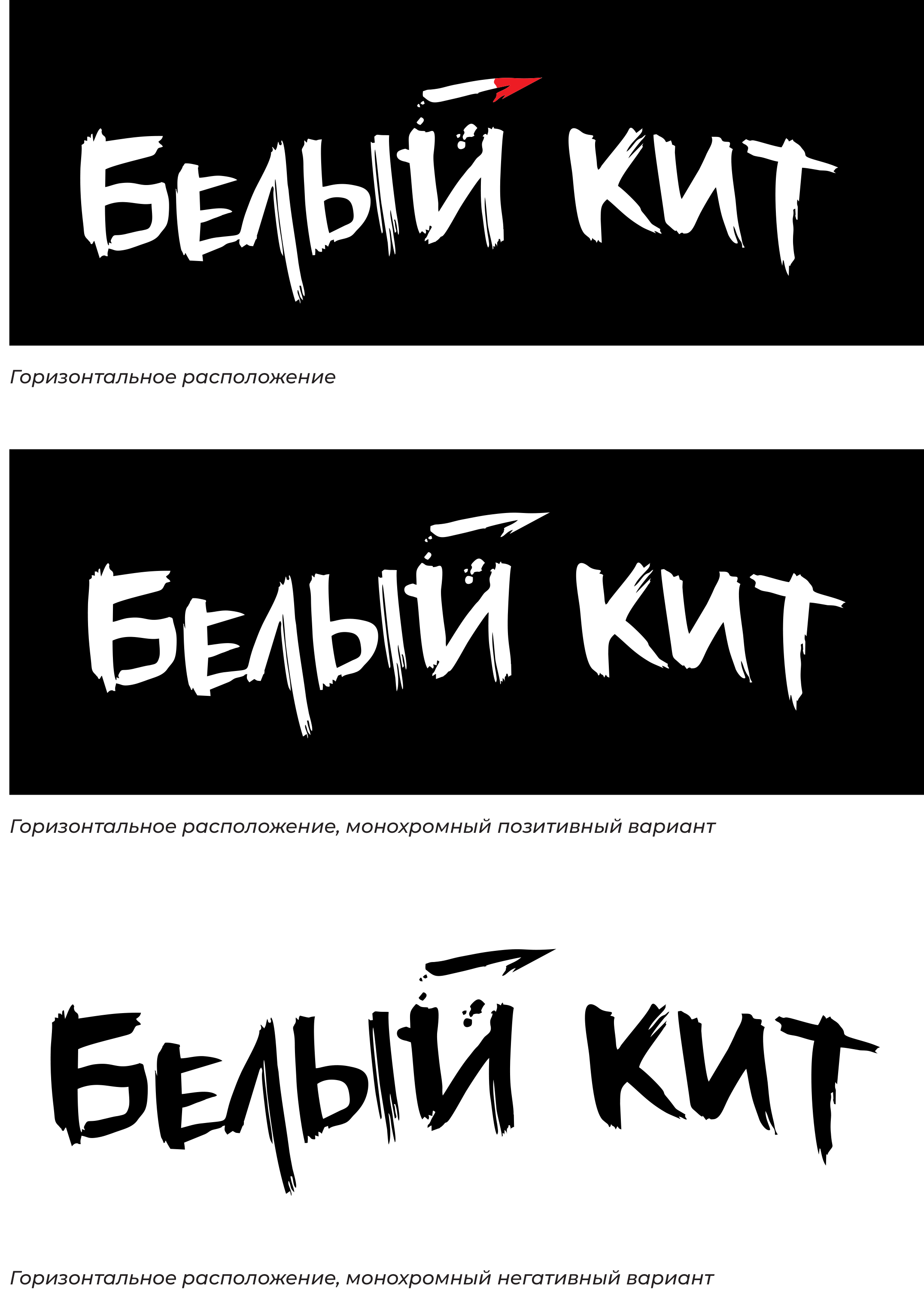 Дизайн настольной игры «Белый кит. В пучину безумия» — Изображение №3 — Брендинг, Иллюстрация на Dprofile