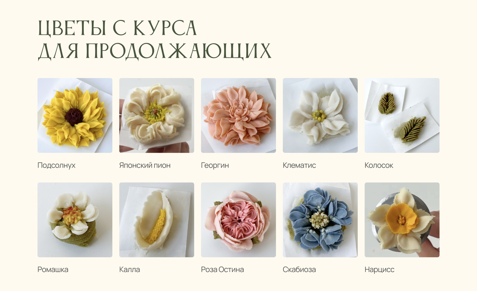 Лендинг для курса по кремовой флористике для тортов — Изображение №13 — Интерфейсы на Dprofile