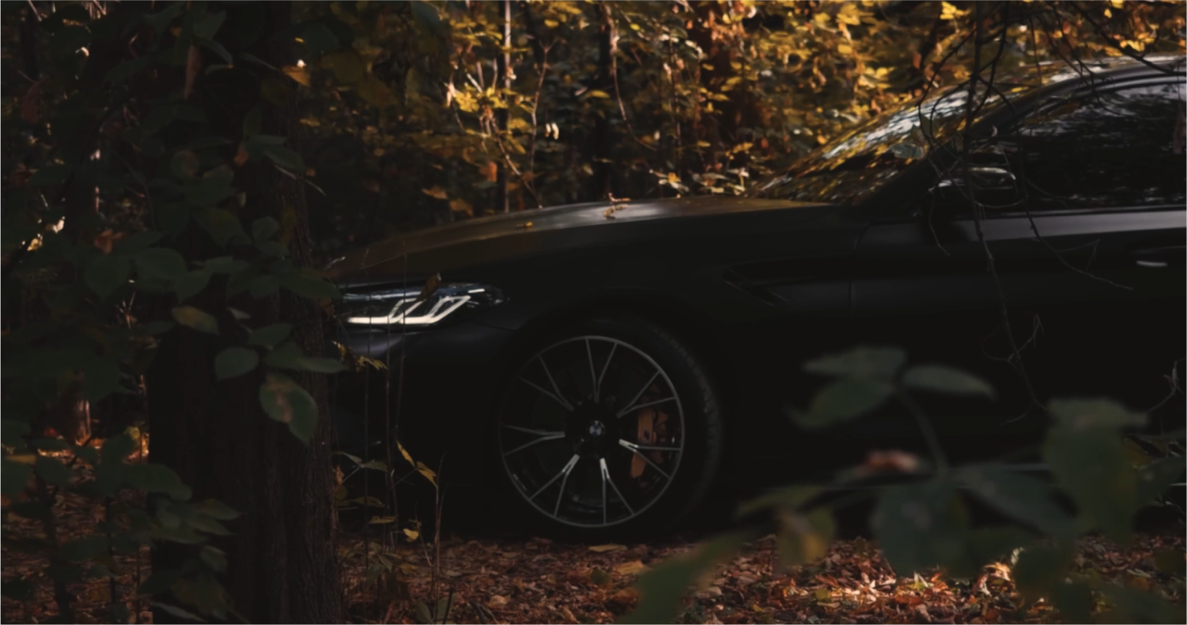 Эдит BMW М5 — Изображение №3 — Анимация на Dprofile
