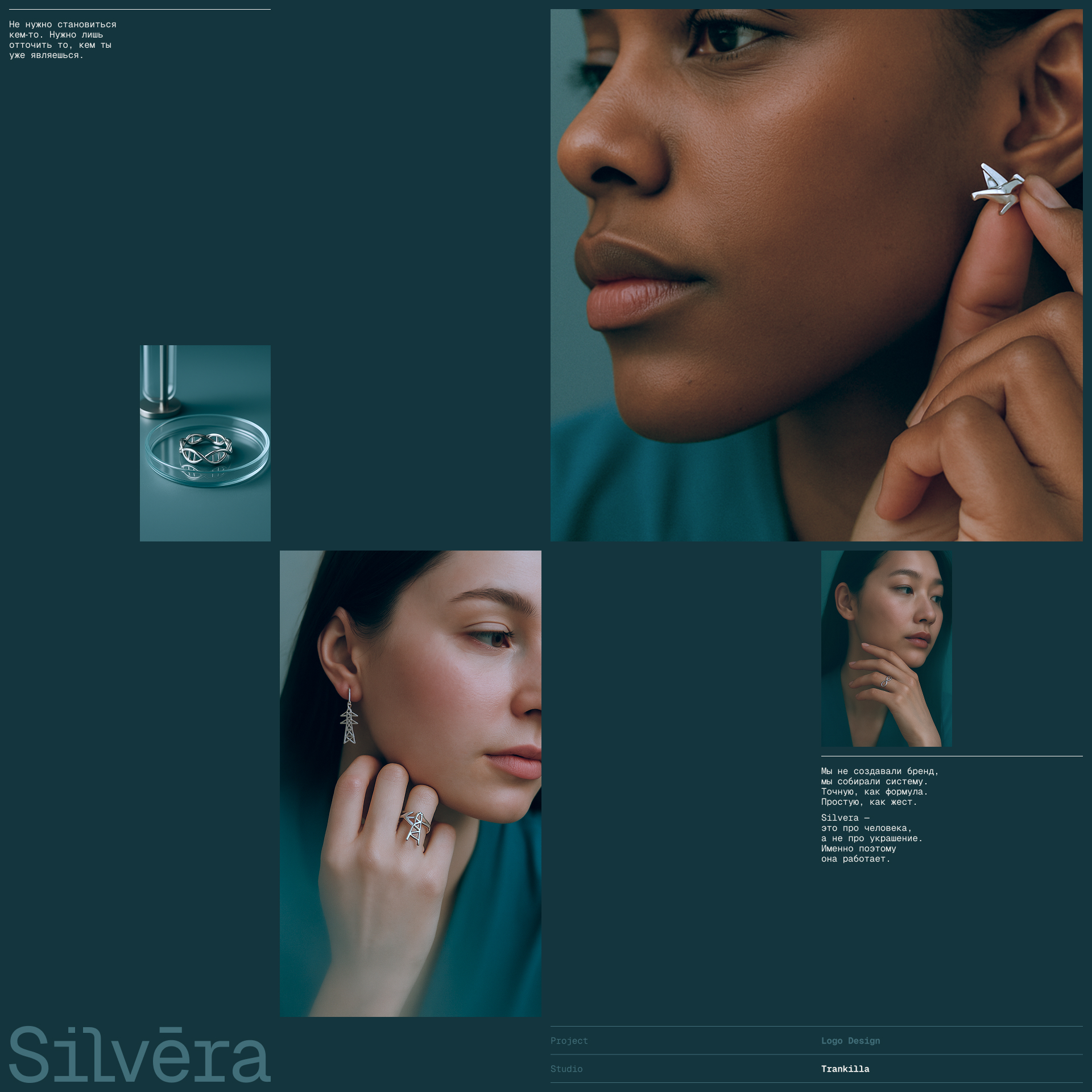 Silvera — Изображение №9 — Брендинг на Dprofile