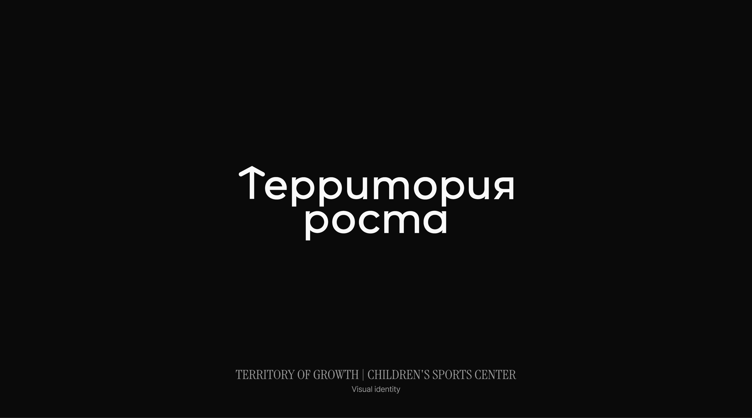 Логофолио 2024 | Логотипы — Изображение №10 — Брендинг на Dprofile