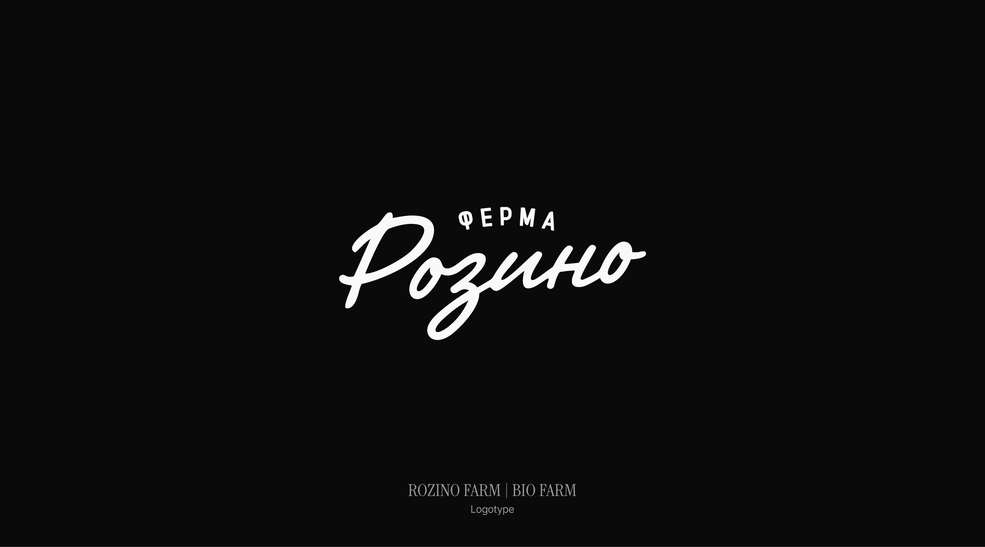 Логофолио 2024 | Логотипы — Изображение №17 — Брендинг на Dprofile