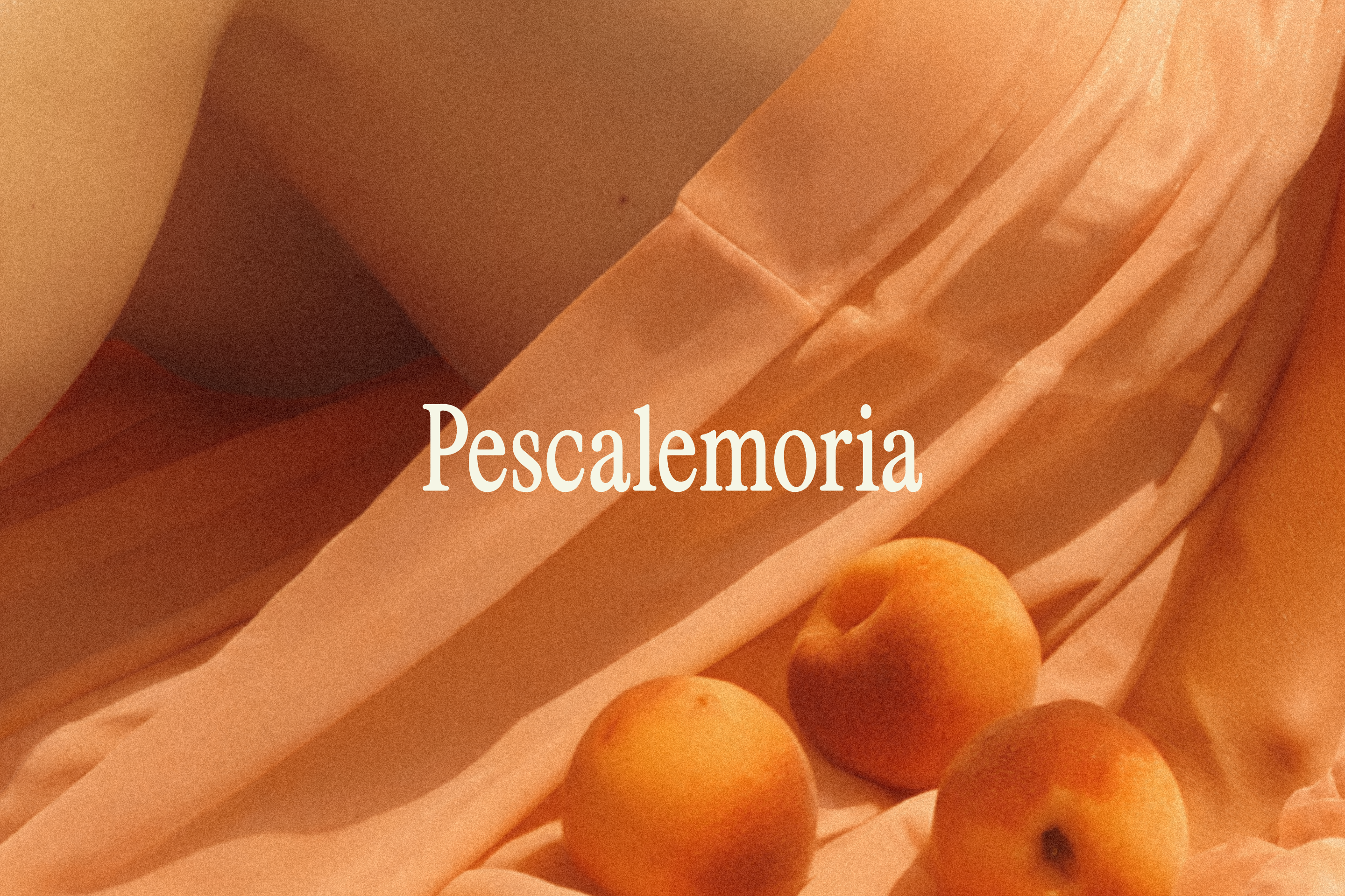 Pescalemoria. Фирменный стиль отеля — Изображение №1 — Брендинг на Dprofile