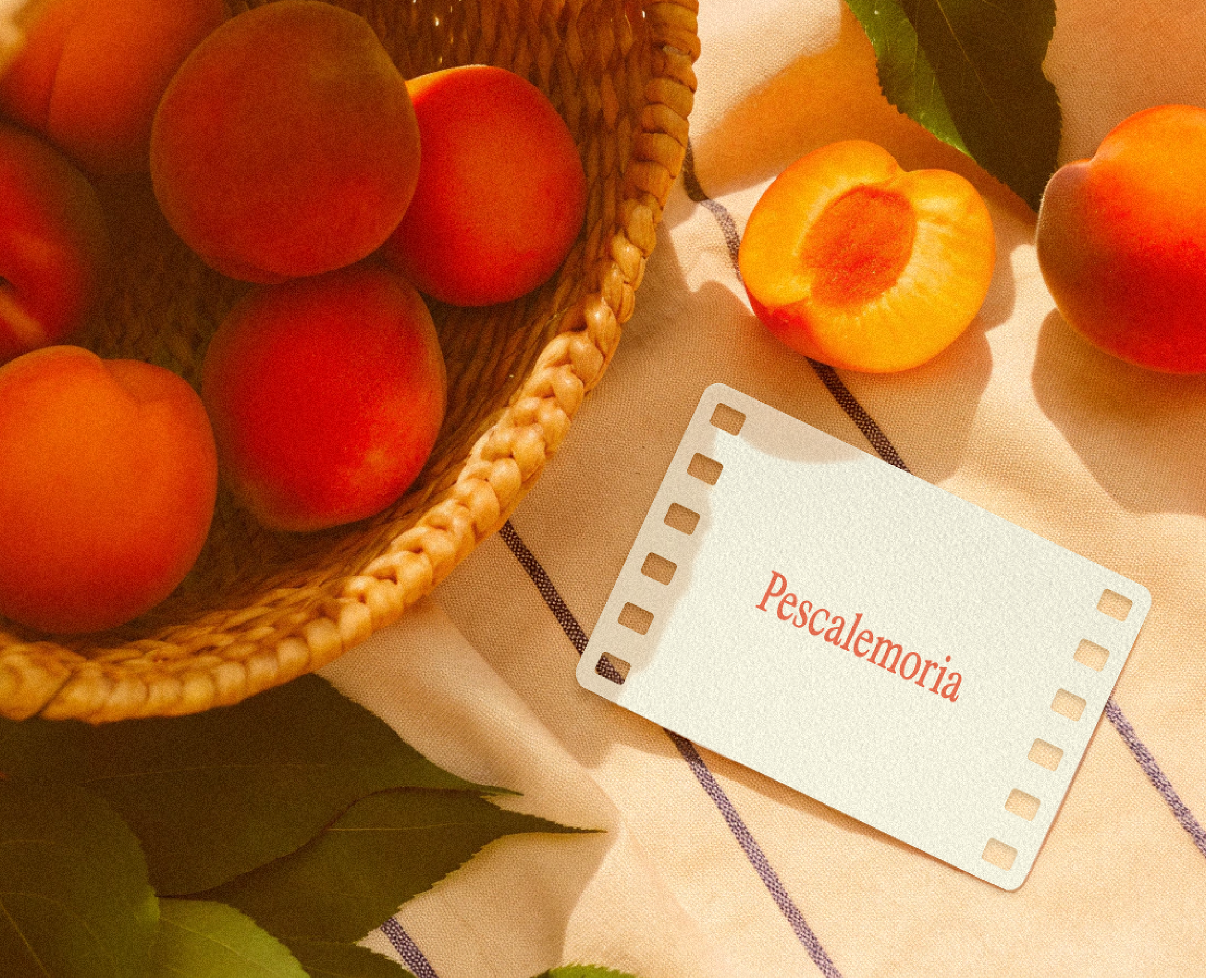 Pescalemoria. Фирменный стиль отеля — Брендинг на Dprofile