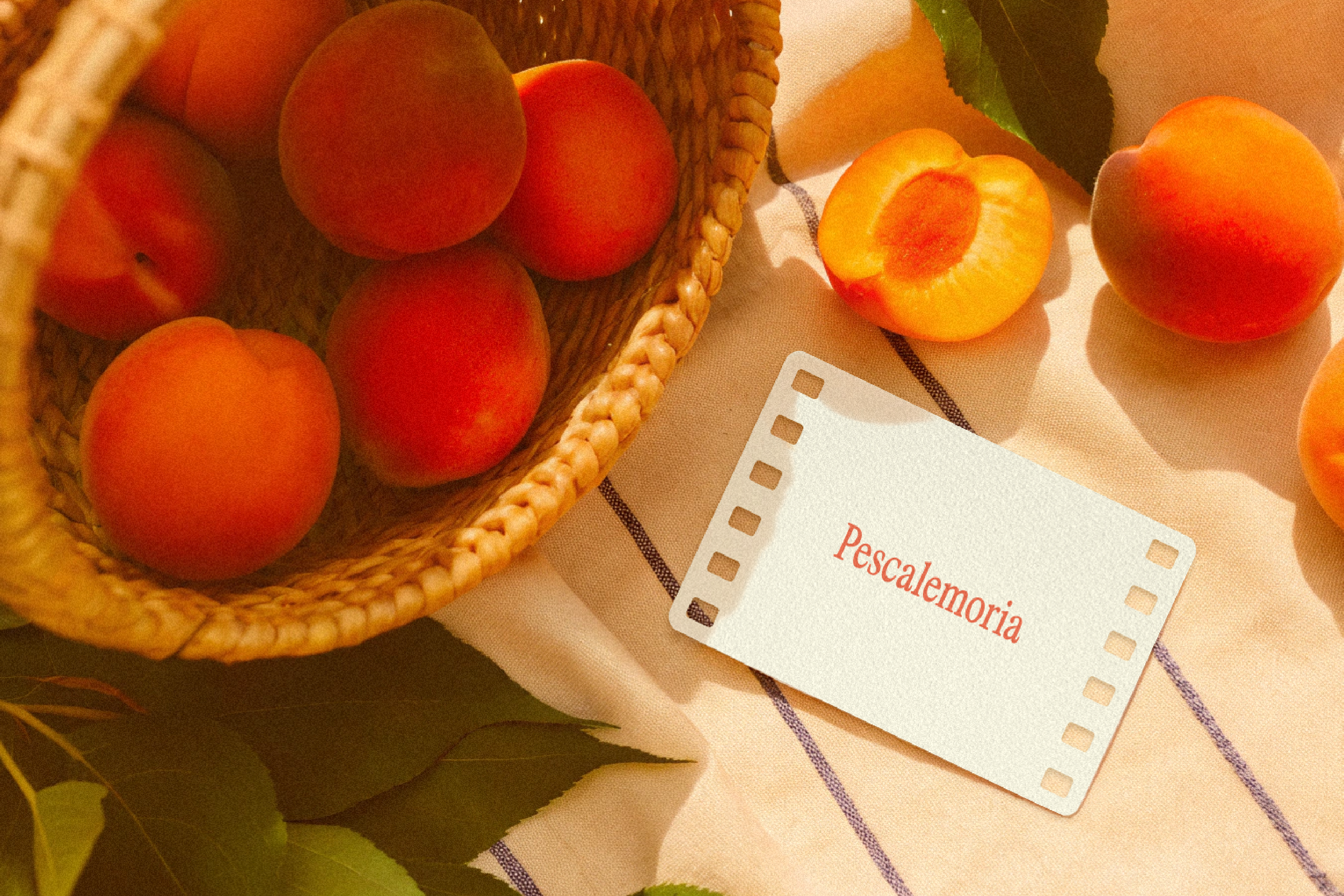 Pescalemoria. Фирменный стиль отеля — Изображение №6 — Брендинг на Dprofile