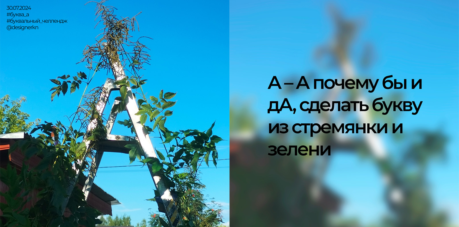 Дачный алфавит — Изображение №3 — Иллюстрация, Графика на Dprofile