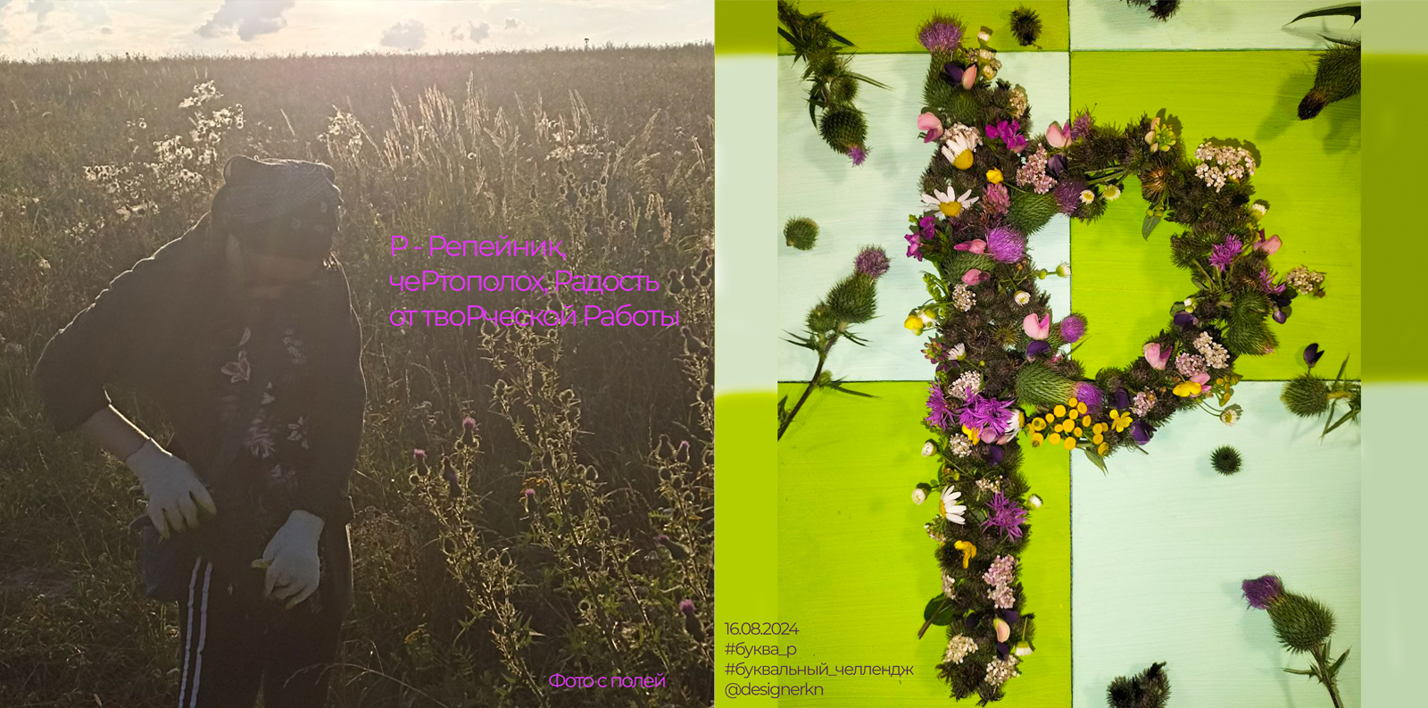 Дачный алфавит — Изображение №20 — Иллюстрация, Графика на Dprofile