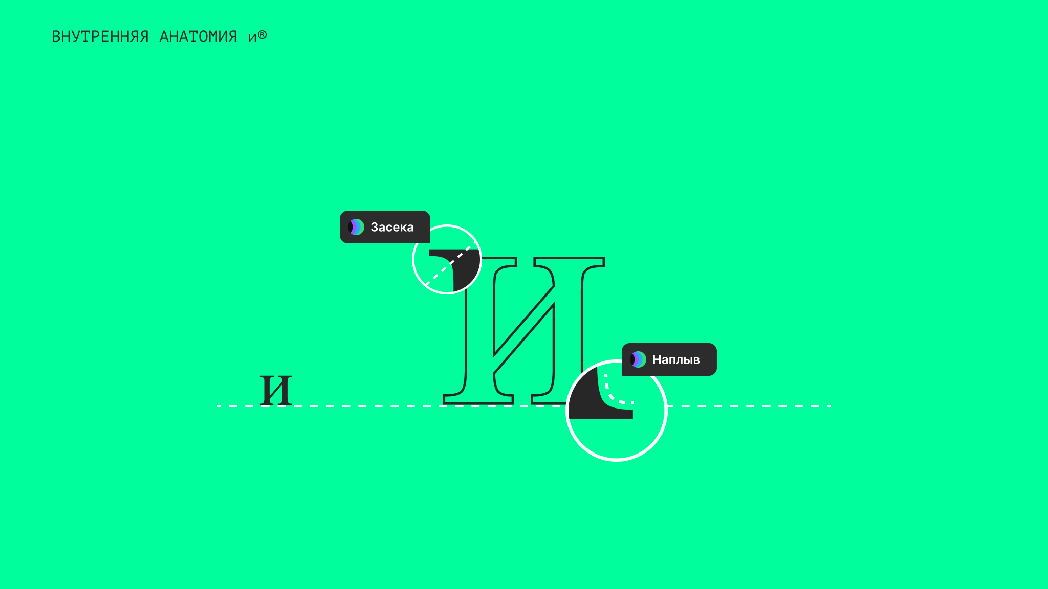 Буква И в периодической системе MAD™ — Изображение №15 — Брендинг, Графика на Dprofile