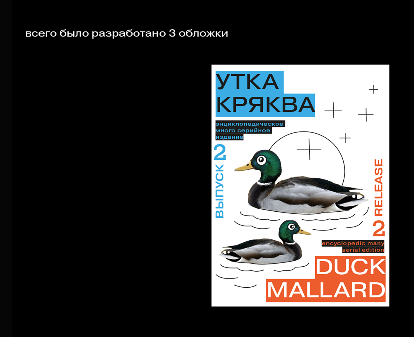 Серийные птицы / Serial birds — Изображение №8 — Брендинг, Графика на Dprofile
