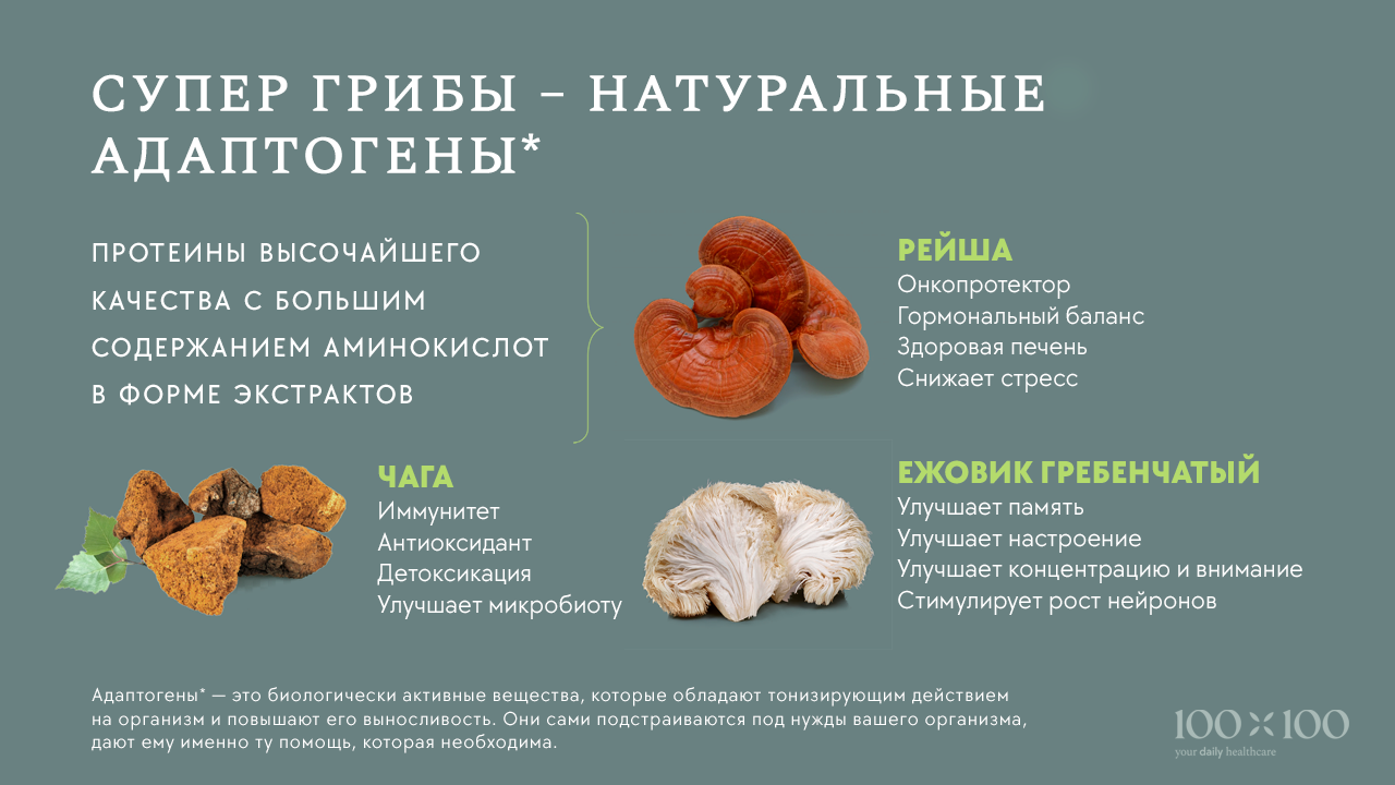 Презентация бренда компании — Изображение №3 — Брендинг, Маркетинг на Dprofile