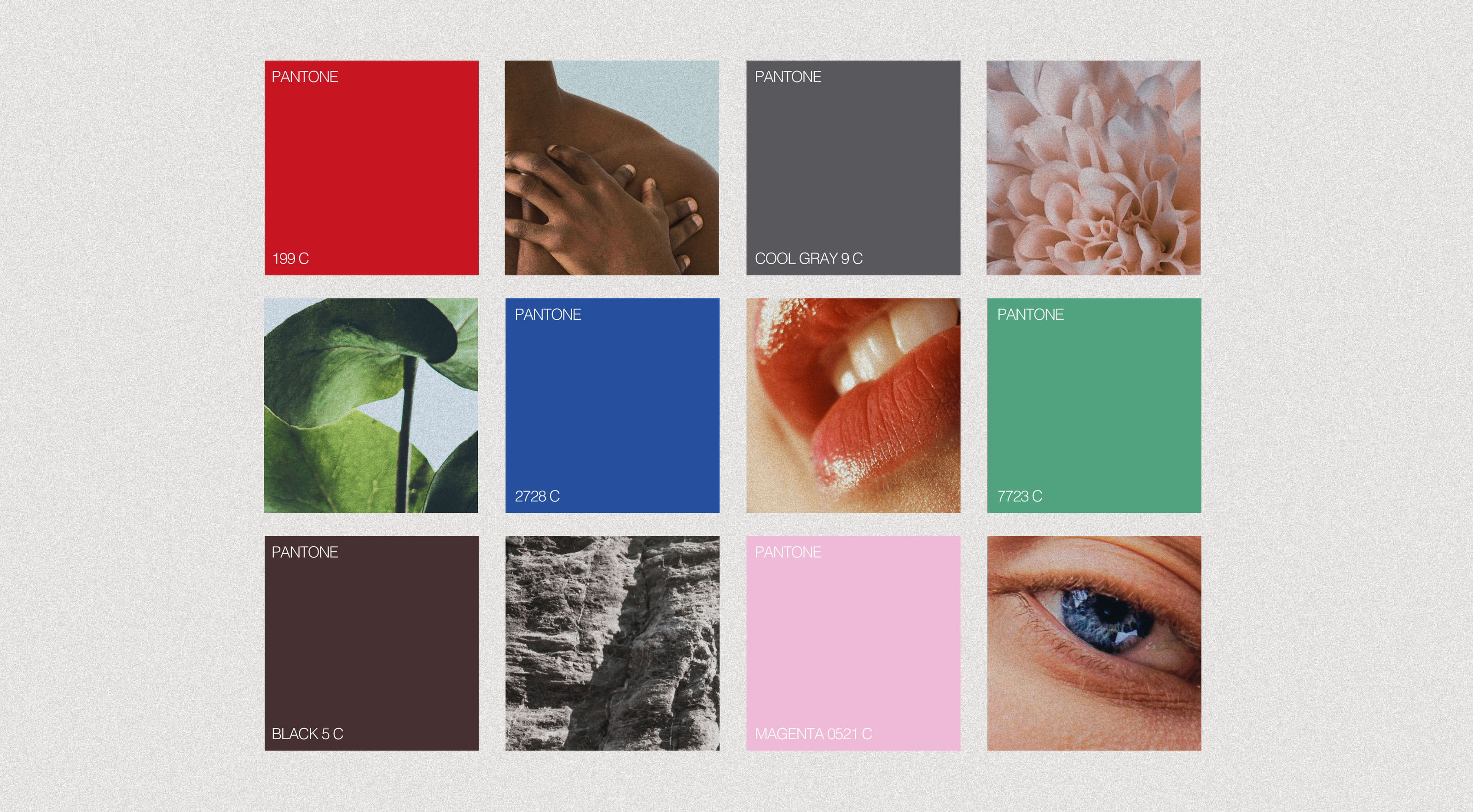 LUKUM - identity and packaging design — Изображение №5 — Брендинг на Dprofile