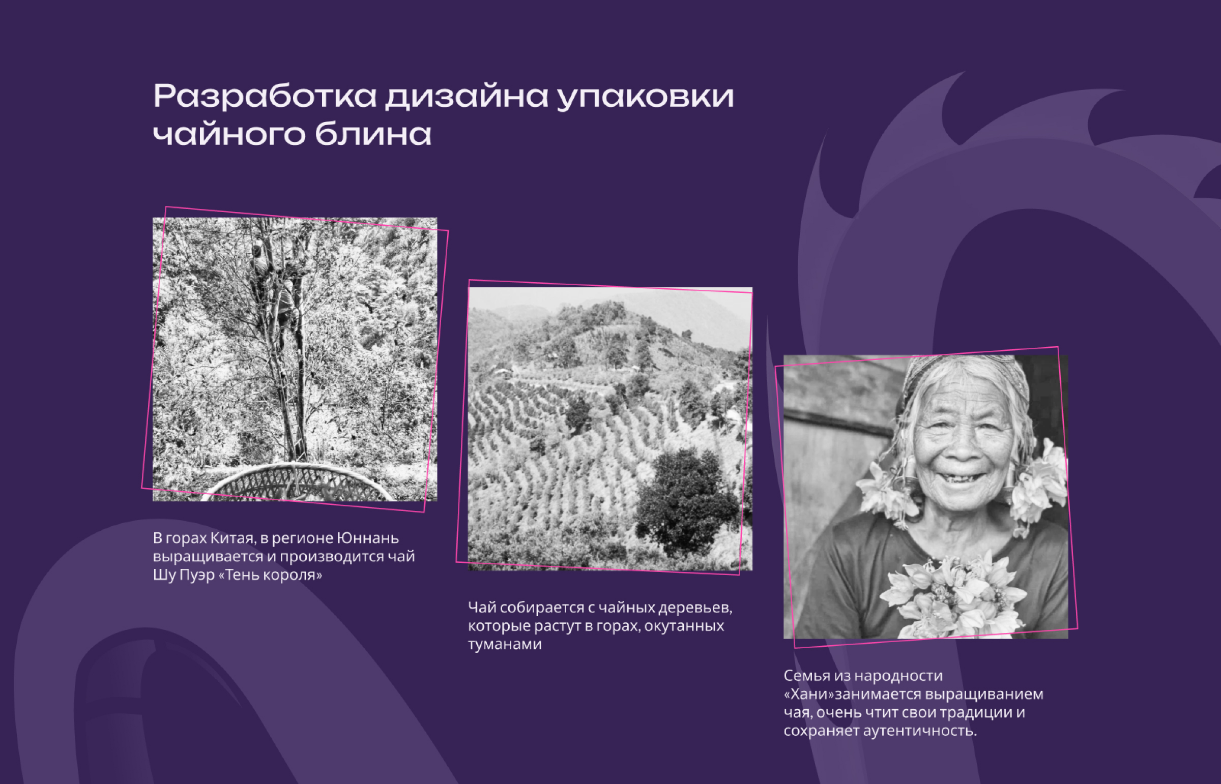 Упаковка чайного блина для Пуэр «Тень короля» — Изображение №1 — Брендинг, Иллюстрация на Dprofile