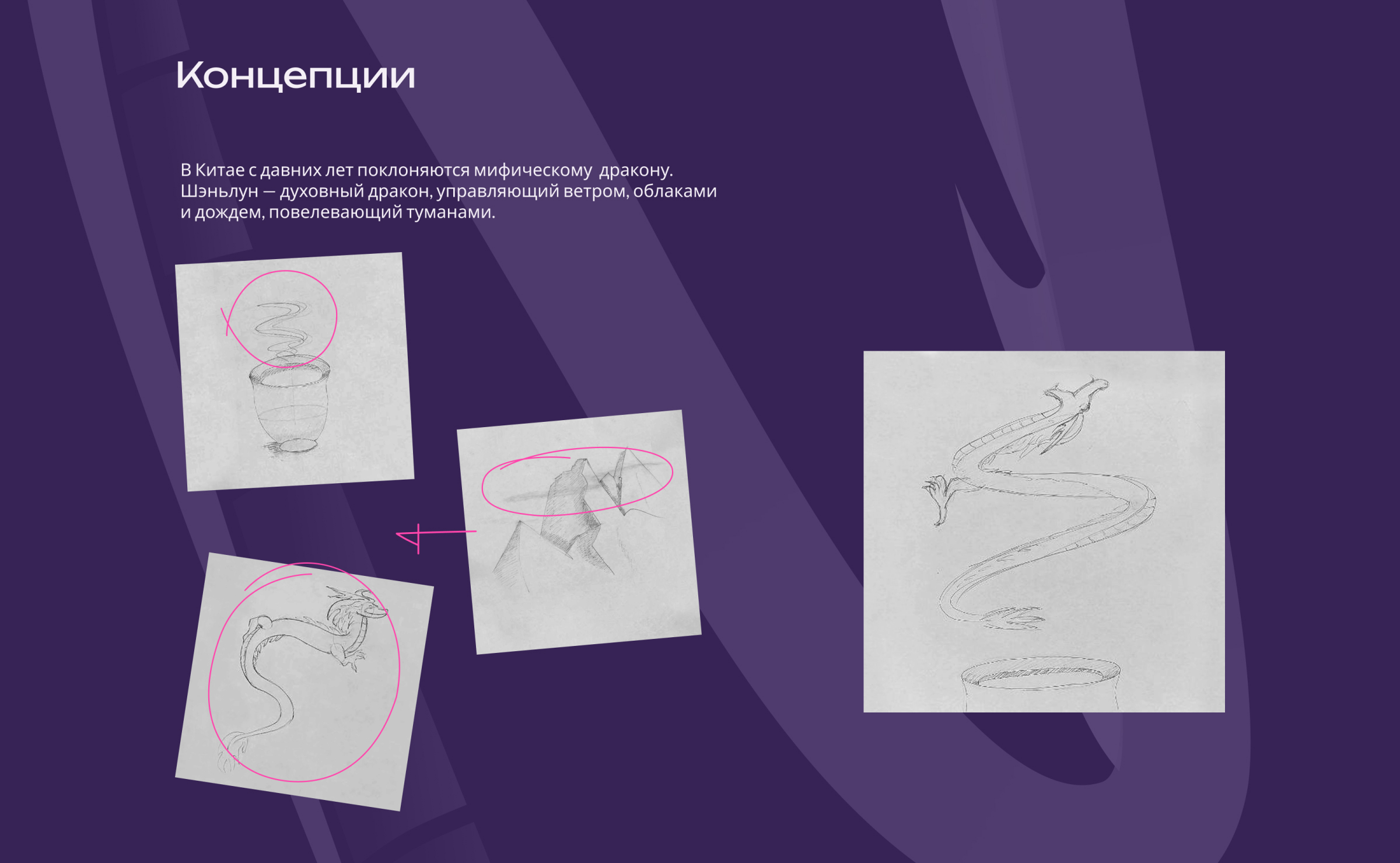 Упаковка чайного блина для Пуэр «Тень короля» — Изображение №2 — Брендинг, Иллюстрация на Dprofile