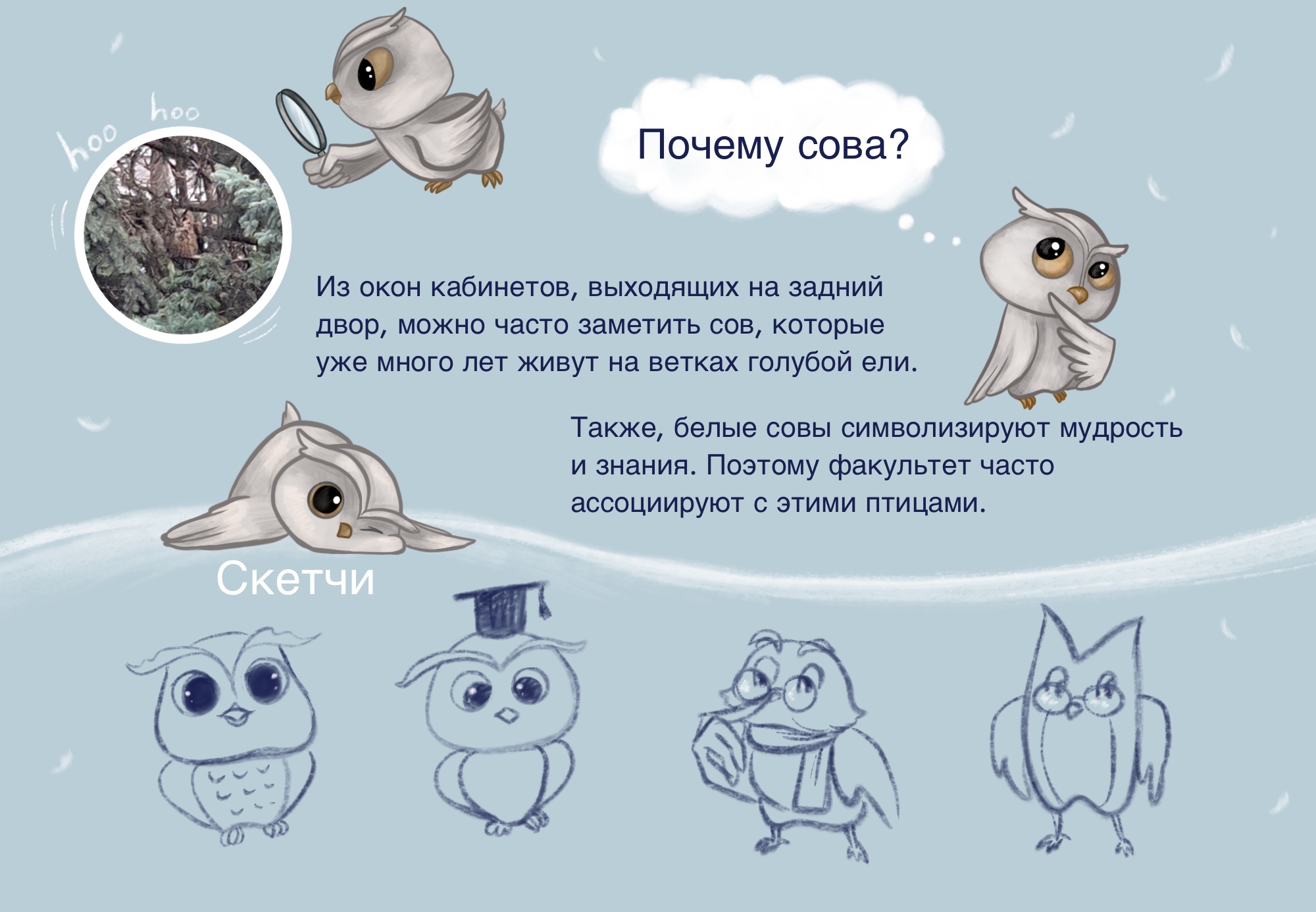 Стикеры для Телеграм Совенок Блуми — Изображение №3 — Брендинг, Иллюстрация на Dprofile