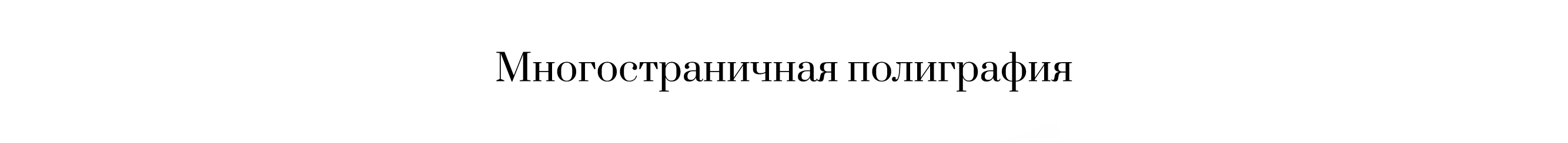 Портфолио графический дизайнер 2025 — Изображение №5 — Брендинг, Графика на Dprofile