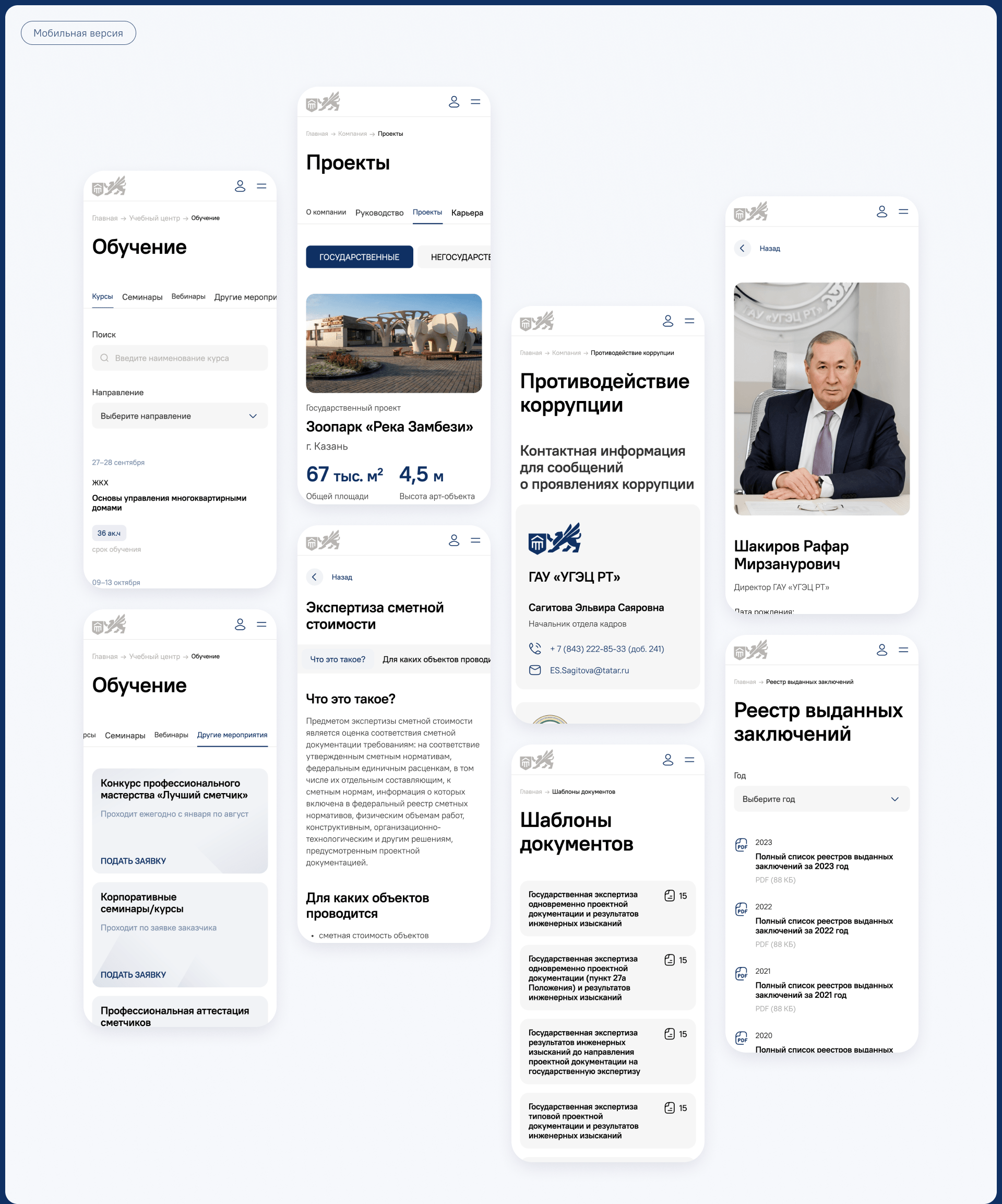 Госэкспертиза РТ — Изображение №10 — Интерфейсы, Брендинг на Dprofile