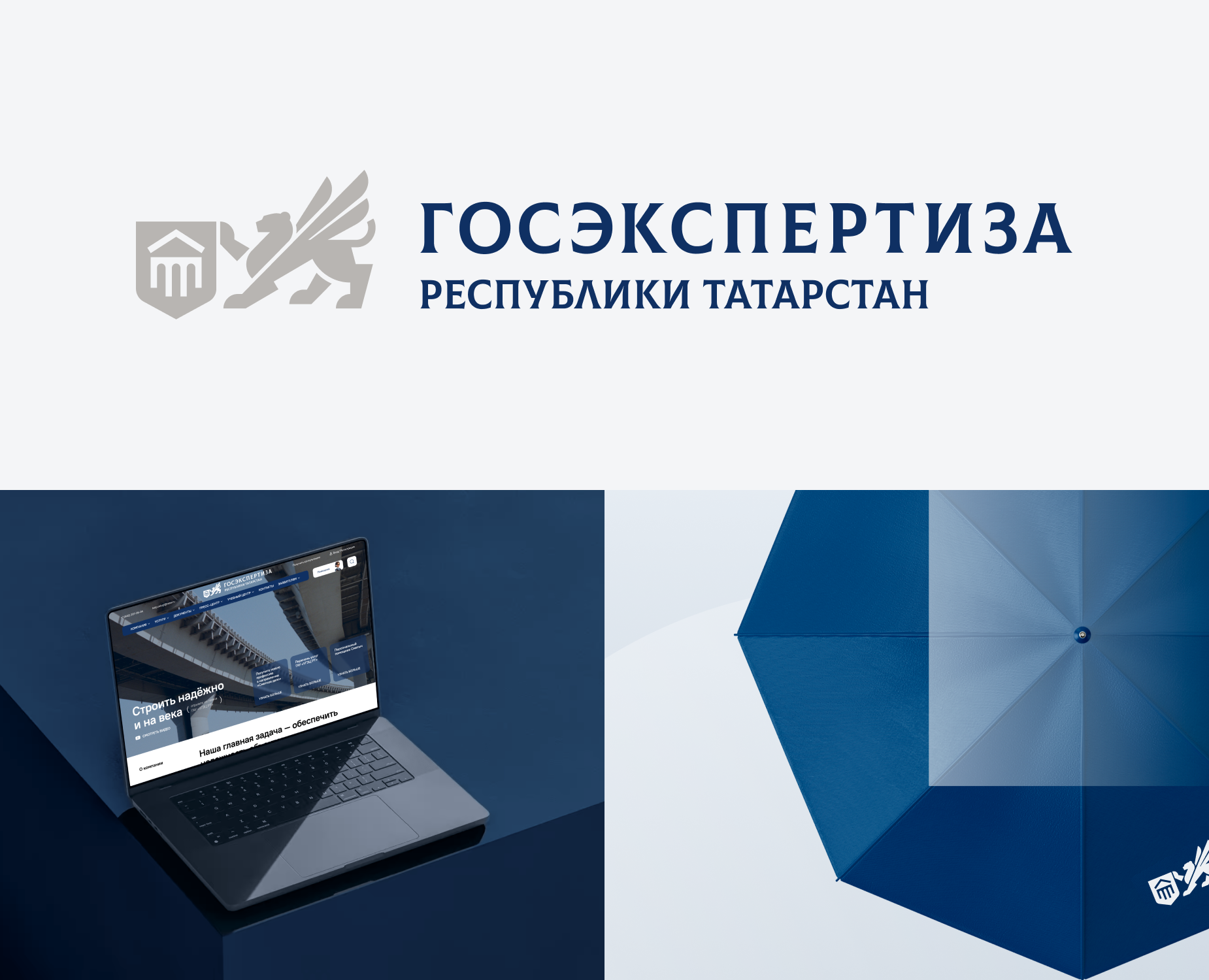 Госэкспертиза РТ — Интерфейсы, Брендинг на Dprofile