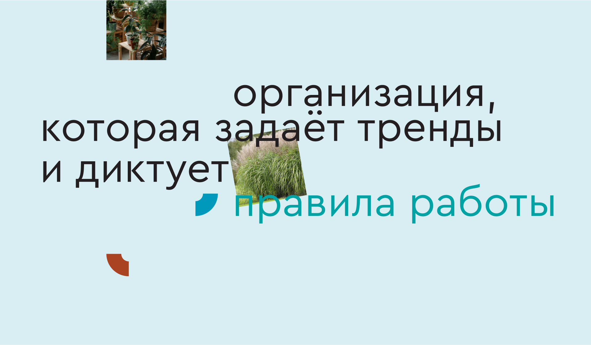 Дирекция парков города Казани — Изображение №7 — Интерфейсы, Графика на Dprofile