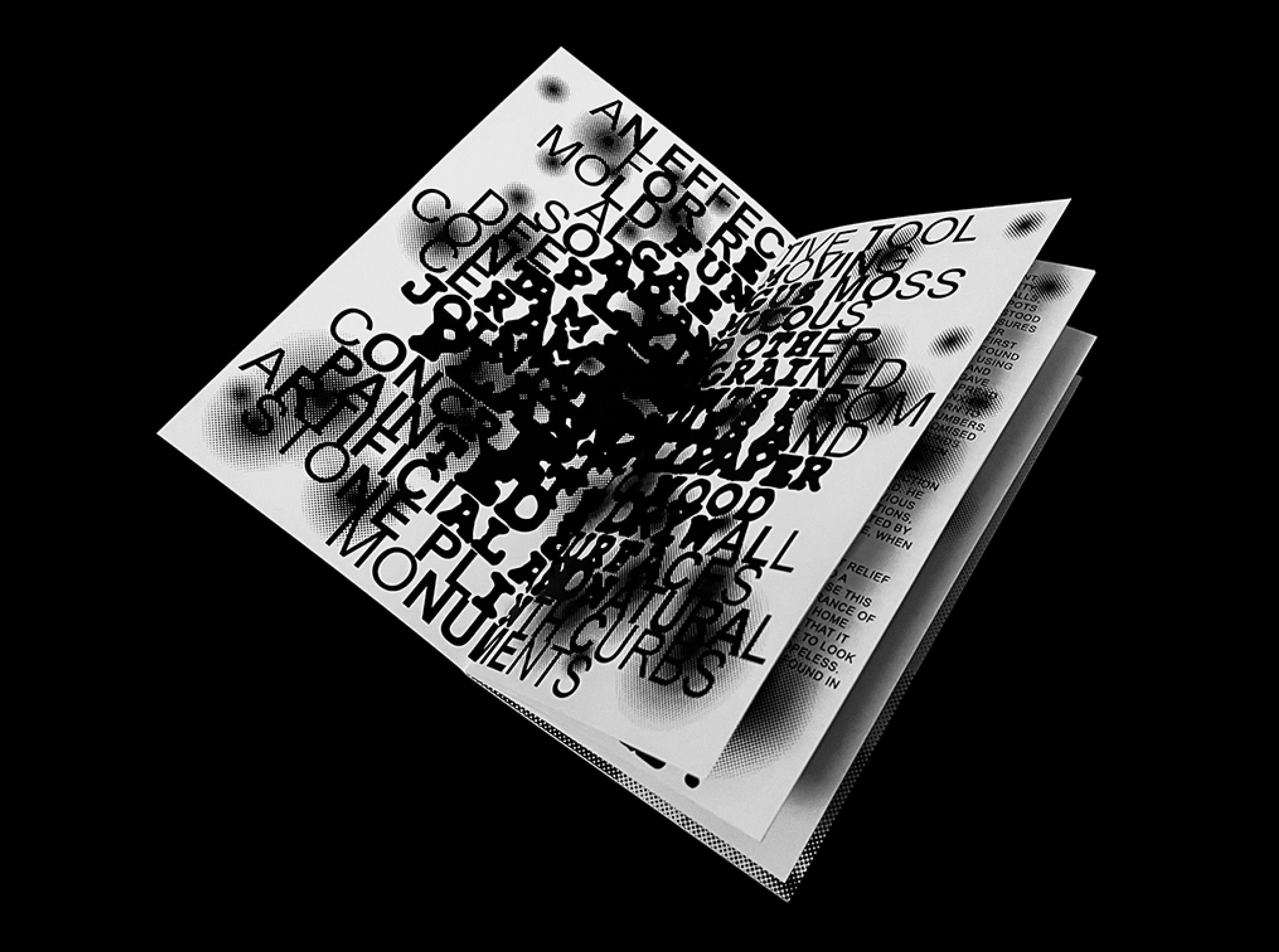 Zine/Posters about mold — Изображение №2 — Графика на Dprofile