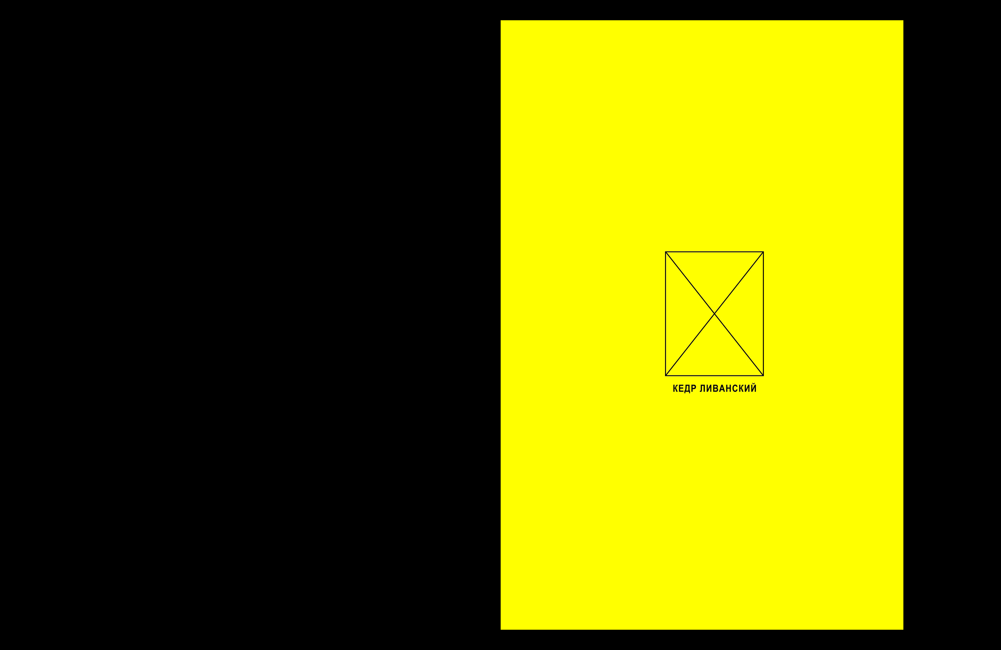 Zines about DJs — Изображение №2 — Графика на Dprofile