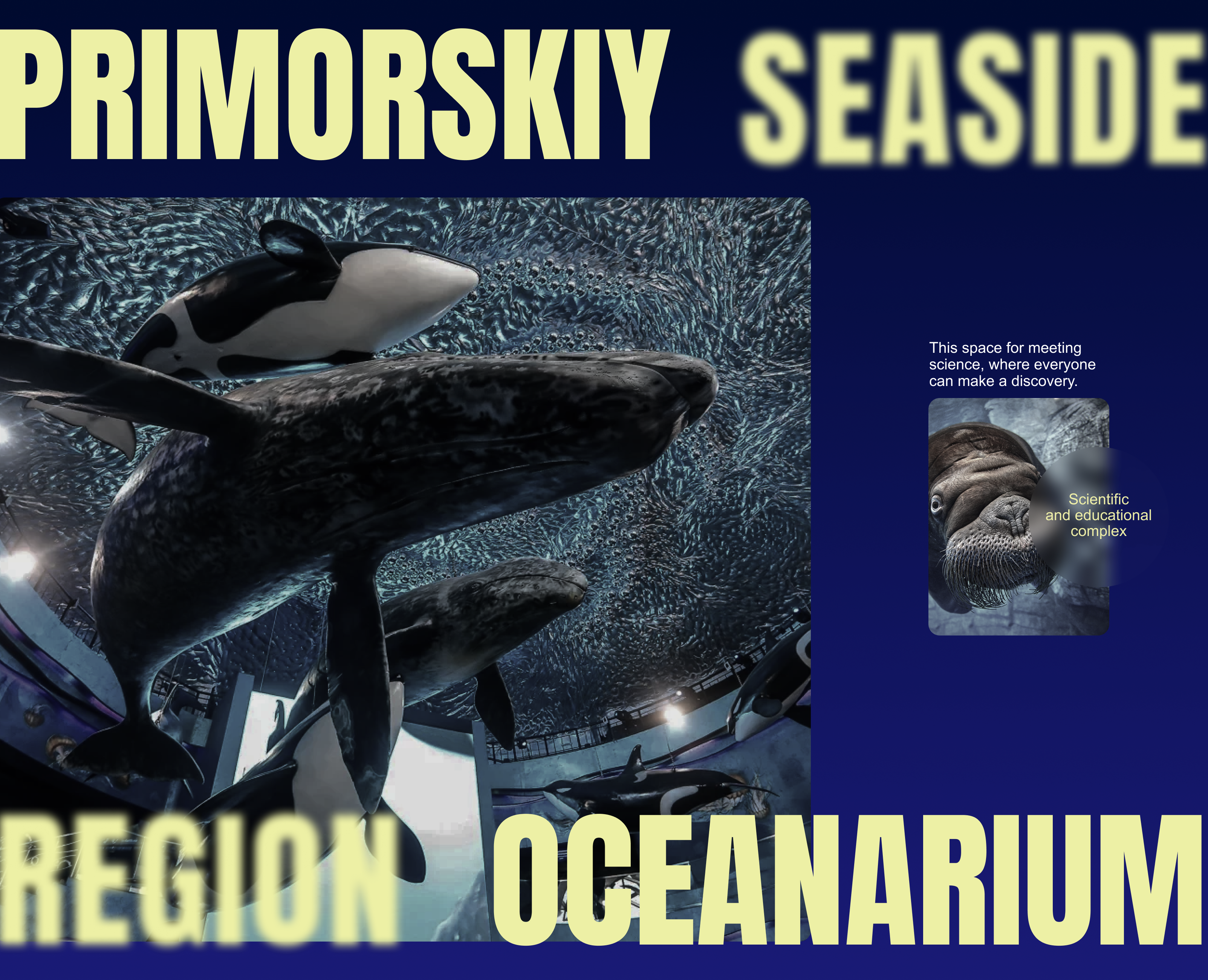 Primorskiy Oceanarium | Landing page — Интерфейсы на Dprofile