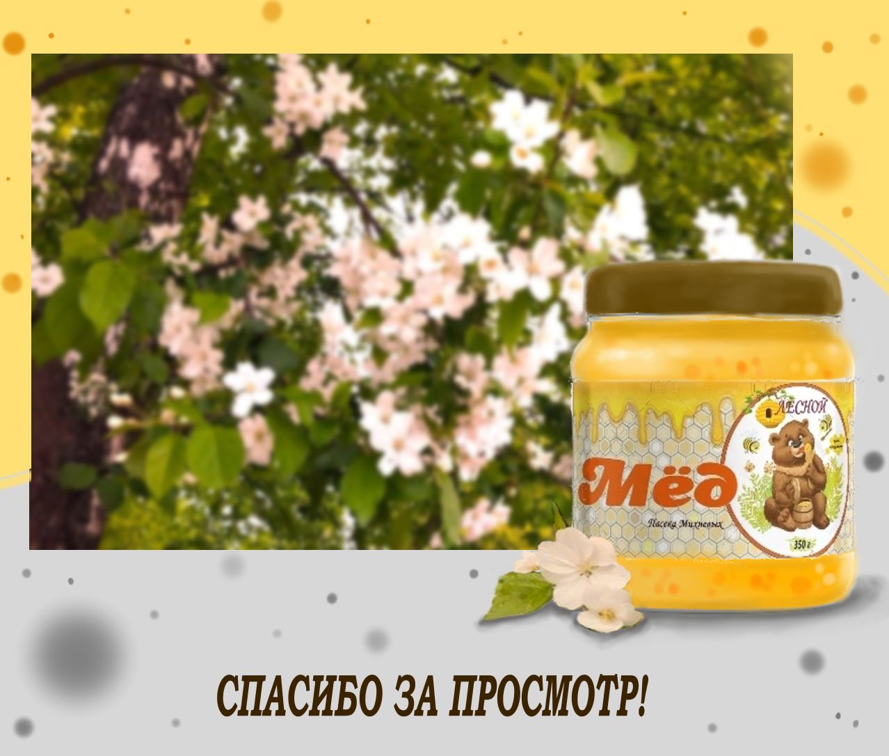 дизайн этикетки для лесного мёда — Изображение №6 — Интерфейсы на Dprofile