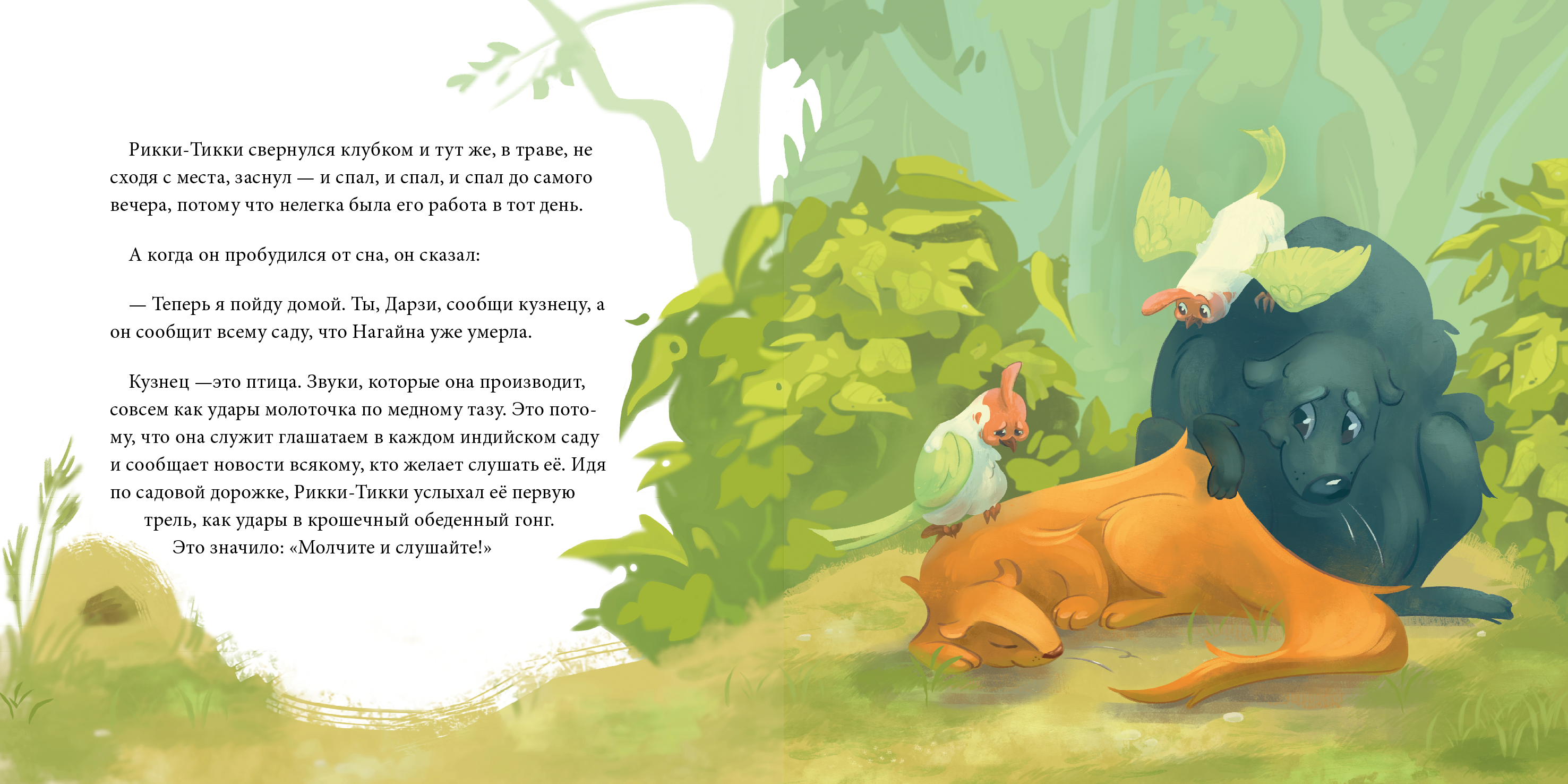 Иллюстрация книги "Рикки-Тикки-Тави" — Изображение №12 — Иллюстрация на Dprofile