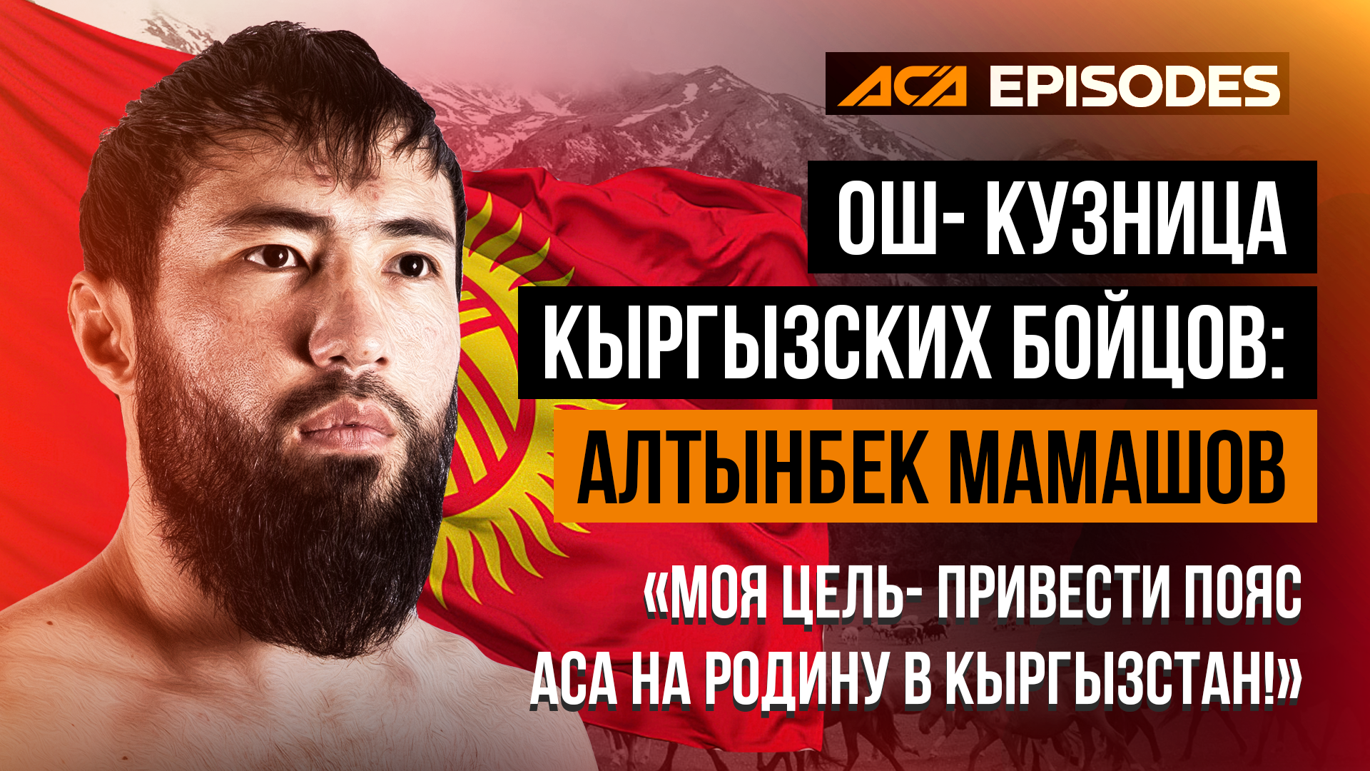АСА-ММА — Изображение №12 — Графика, Маркетинг на Dprofile