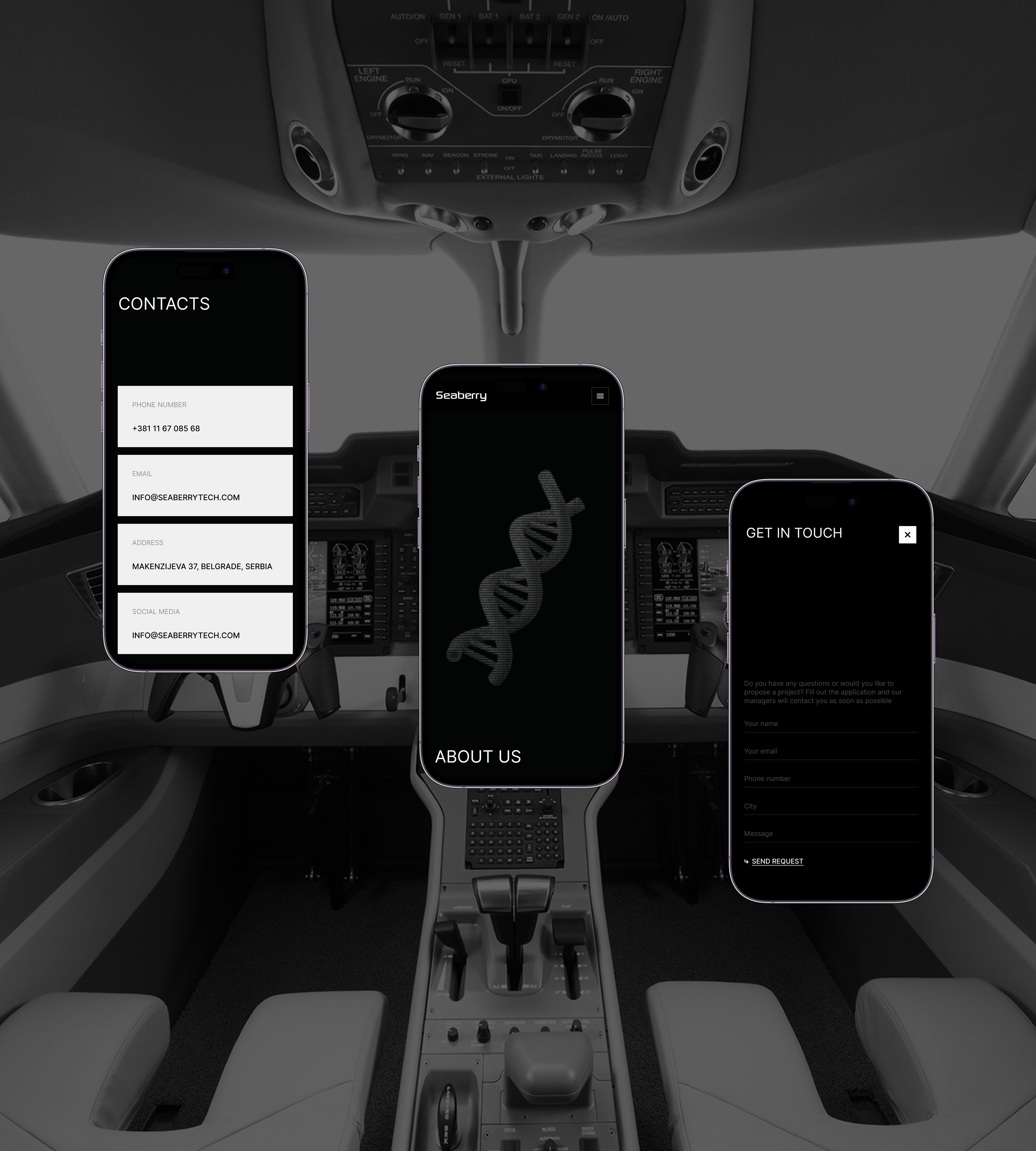 Seaberry — Aviation and Medical Soft Developer — Изображение №10 — Интерфейсы, Брендинг на Dprofile