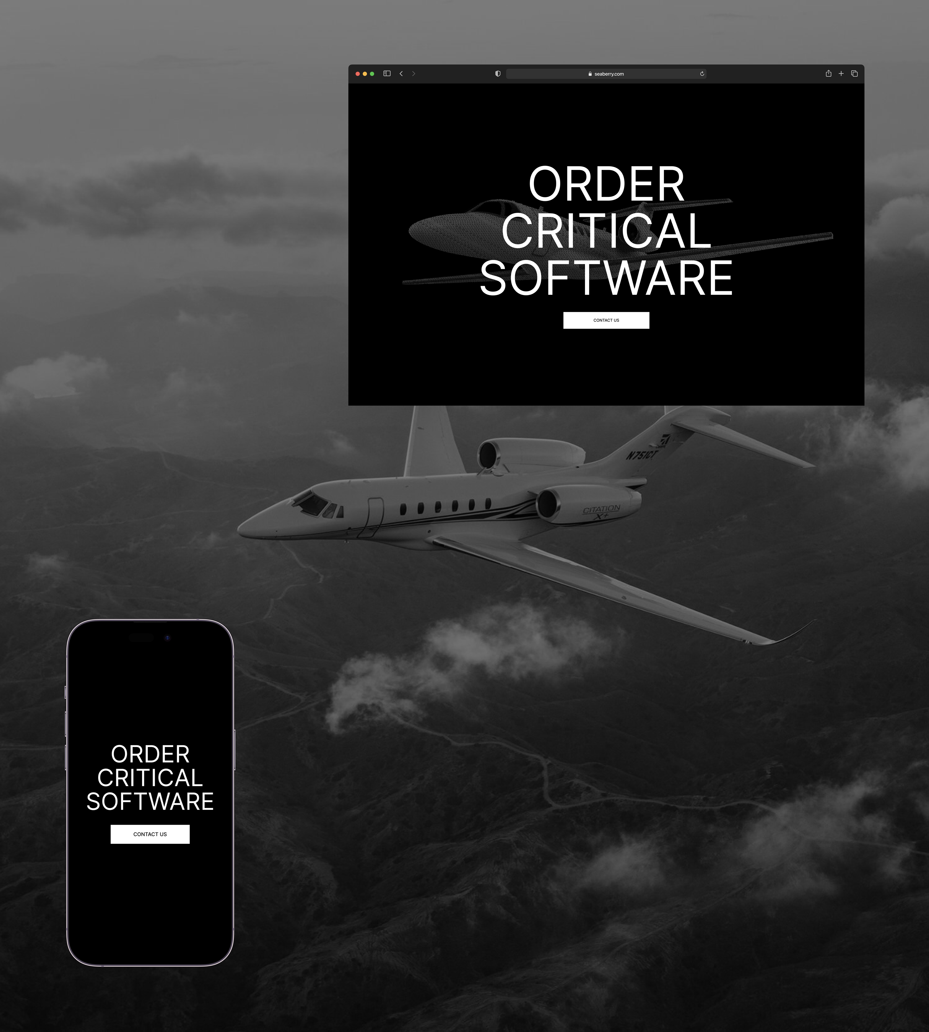 Seaberry — Aviation and Medical Soft Developer — Изображение №4 — Интерфейсы, Брендинг на Dprofile