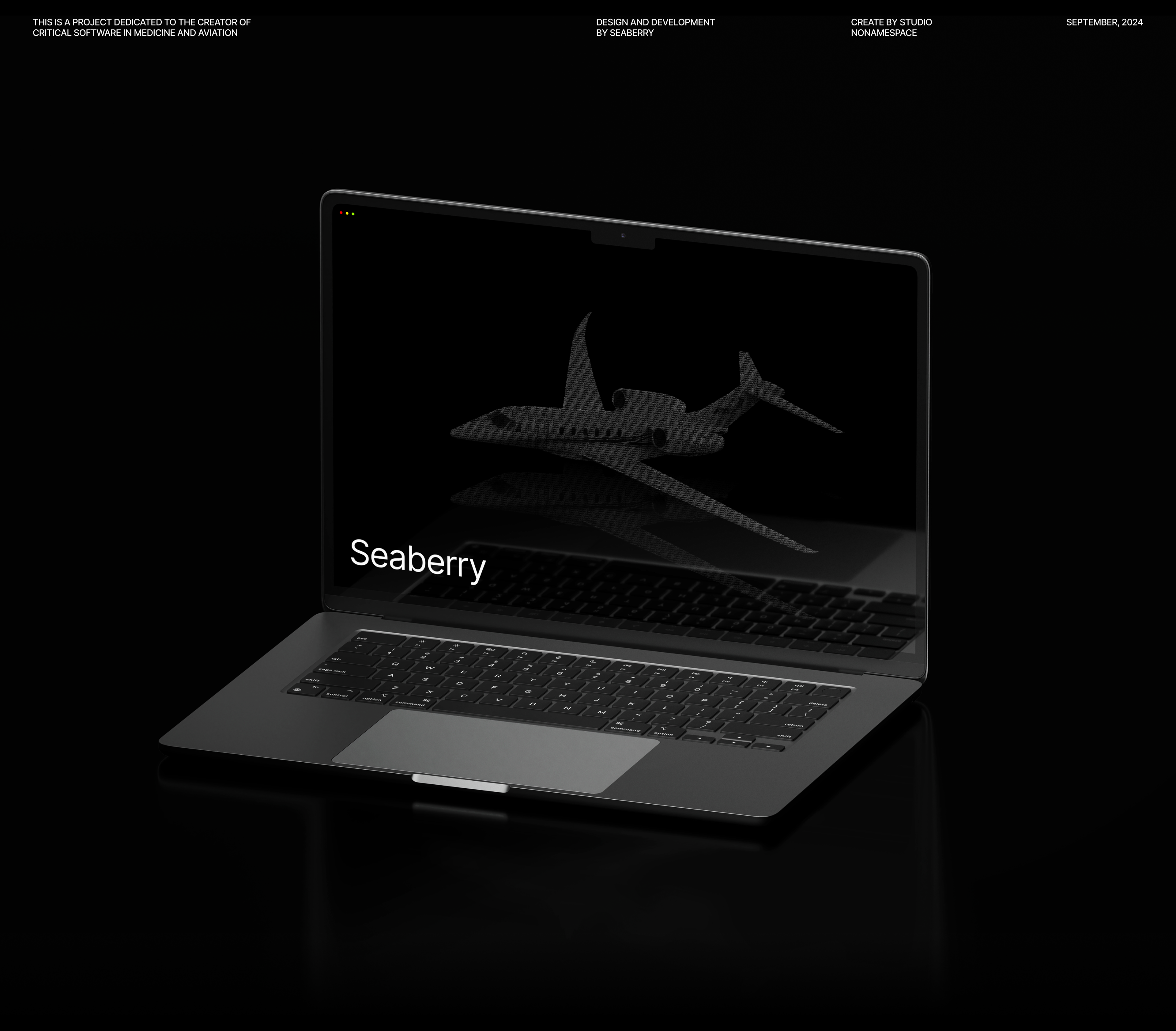 Seaberry — Aviation and Medical Soft Developer — Изображение №1 — Интерфейсы, Брендинг на Dprofile