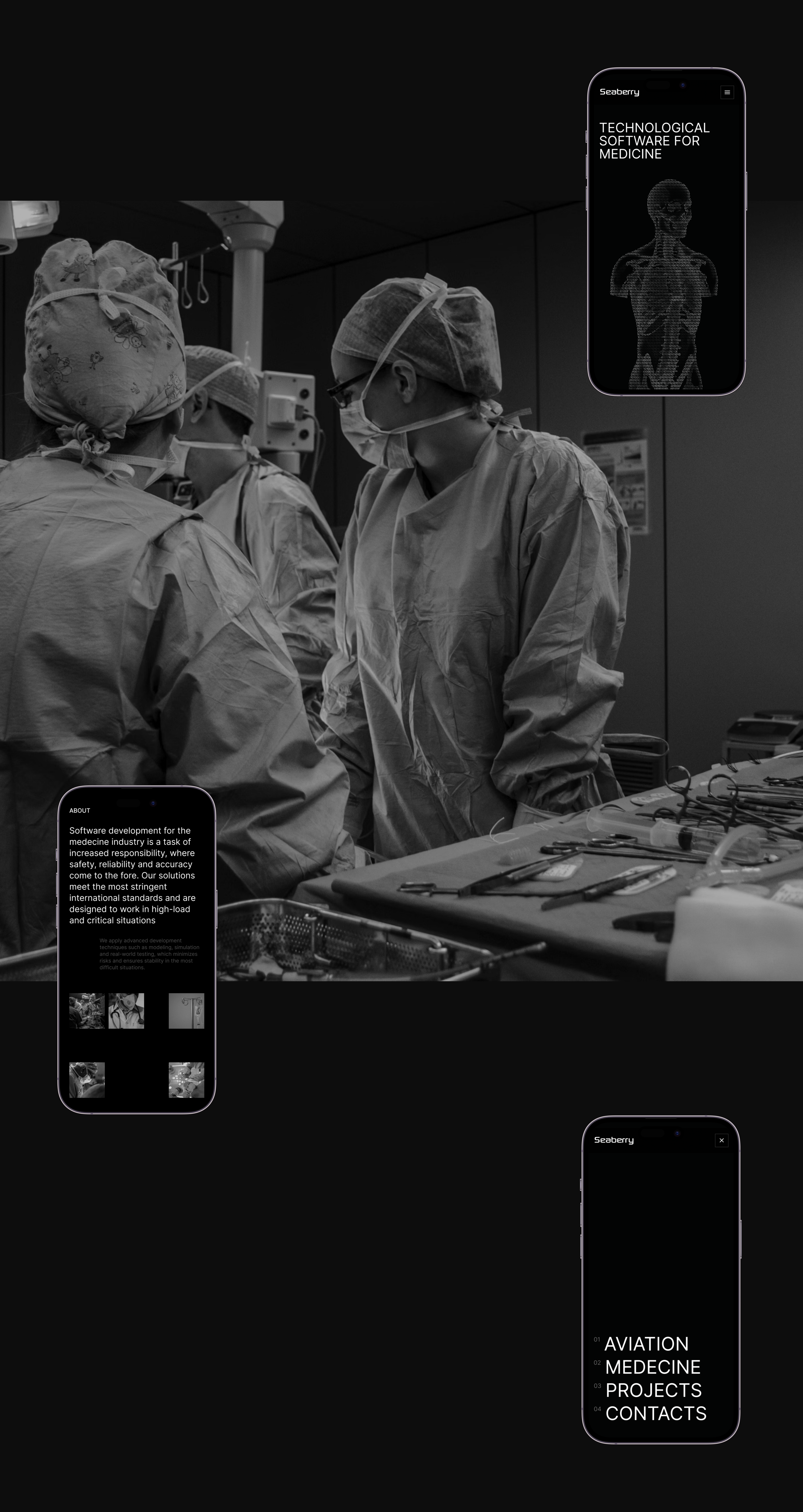 Seaberry — Aviation and Medical Soft Developer — Изображение №6 — Интерфейсы, Брендинг на Dprofile
