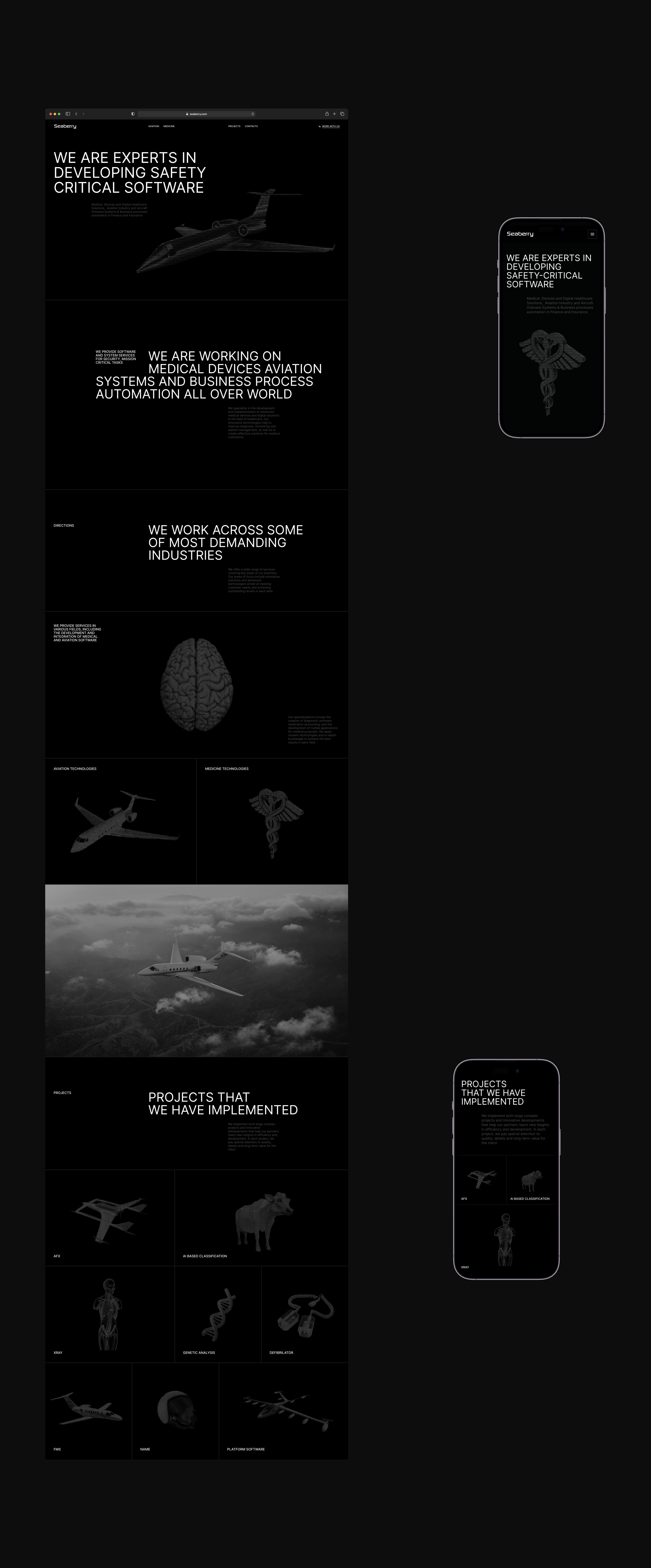 Seaberry — Aviation and Medical Soft Developer — Изображение №3 — Интерфейсы, Брендинг на Dprofile
