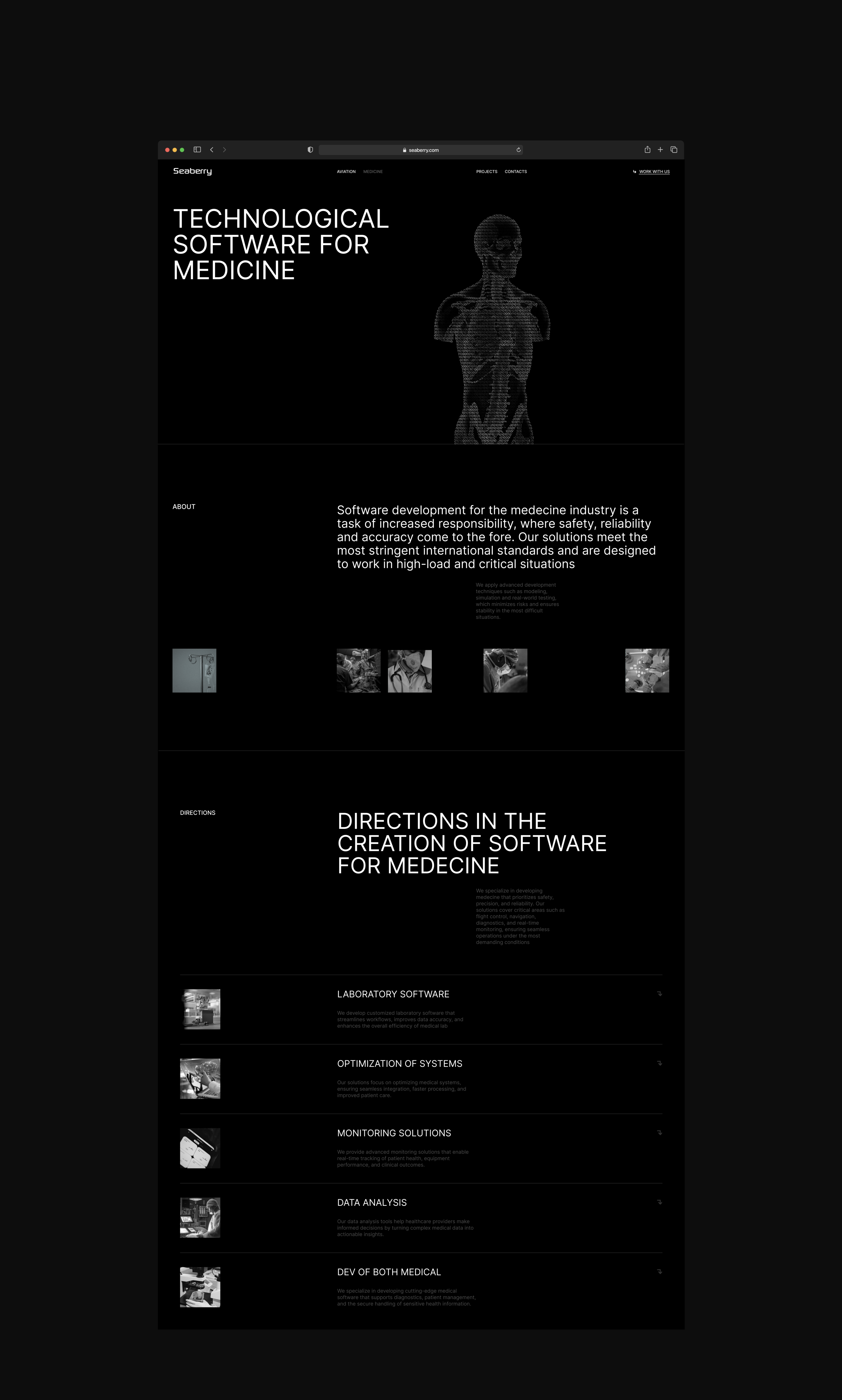 Seaberry — Aviation and Medical Soft Developer — Изображение №5 — Интерфейсы, Брендинг на Dprofile
