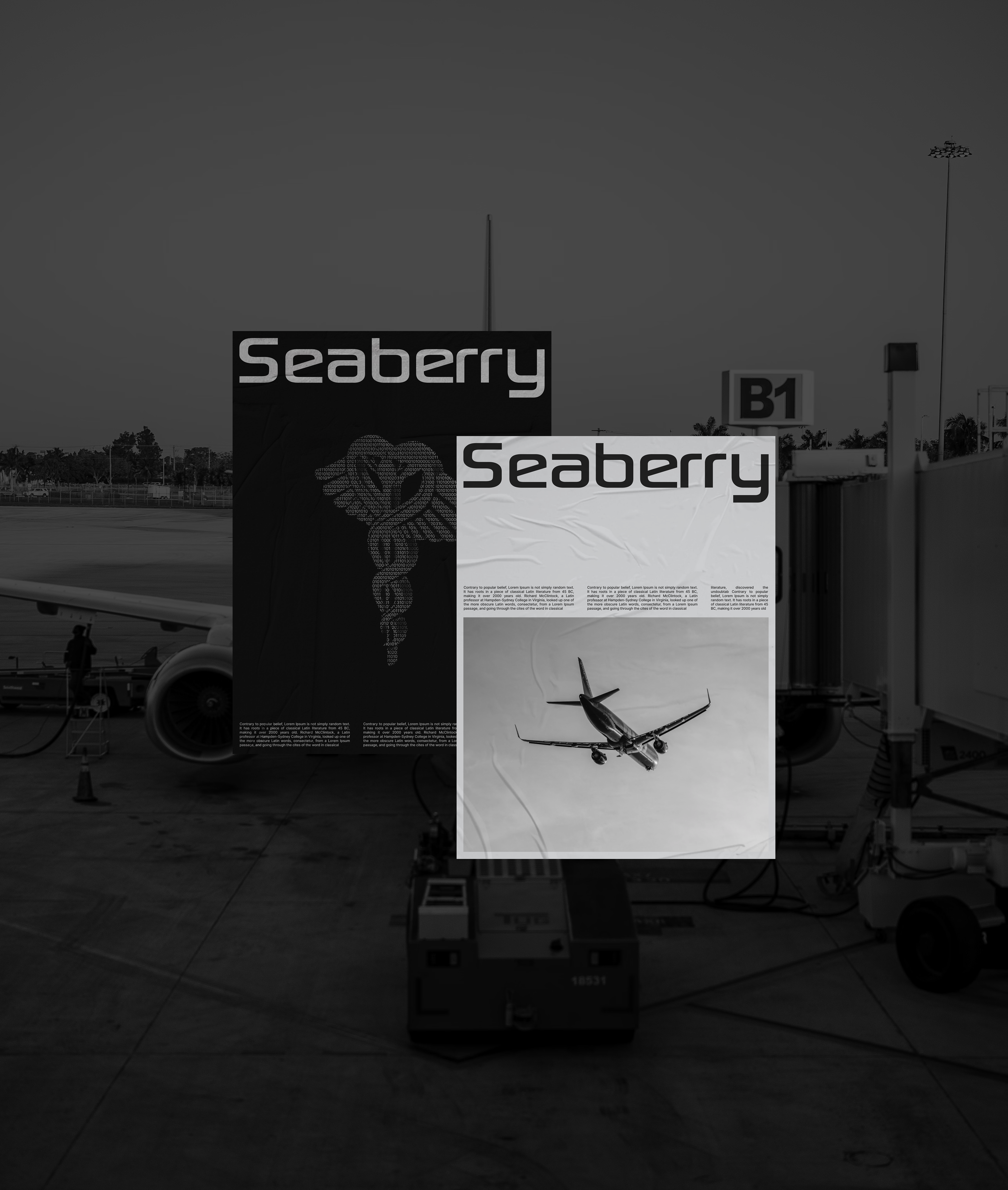 Seaberry — Aviation and Medical Soft Developer — Изображение №2 — Интерфейсы, Брендинг на Dprofile