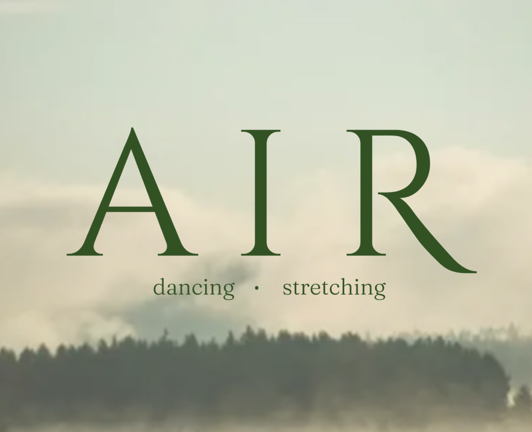 AIR - брендинг студии растяжки и современного танца — Брендинг на Dprofile