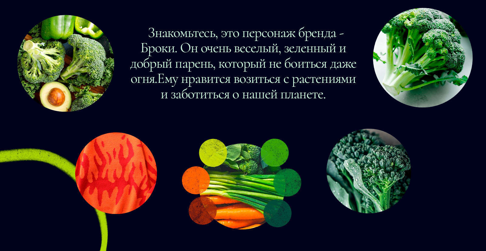 Бренд персонаж - Броки — Изображение №2 — Иллюстрация на Dprofile