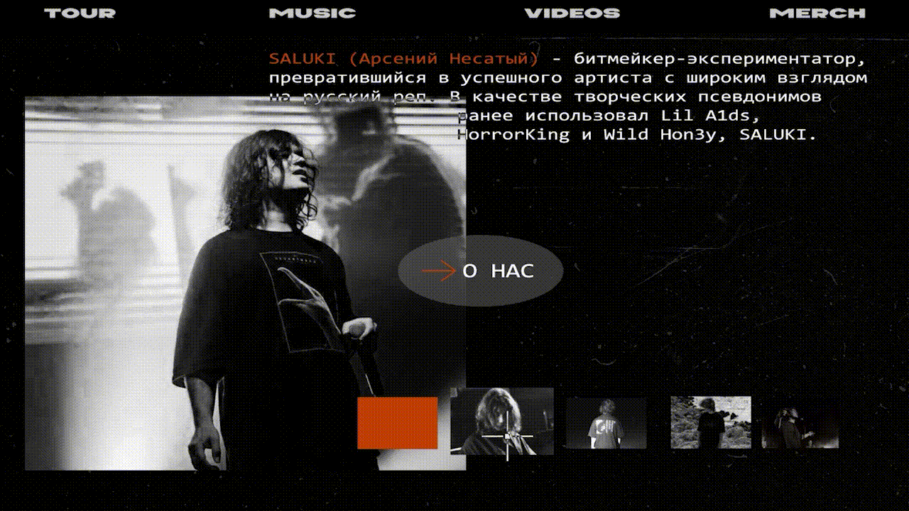 Анимированный лендинг Saluki — Изображение №8 — Графика, Анимация на Dprofile