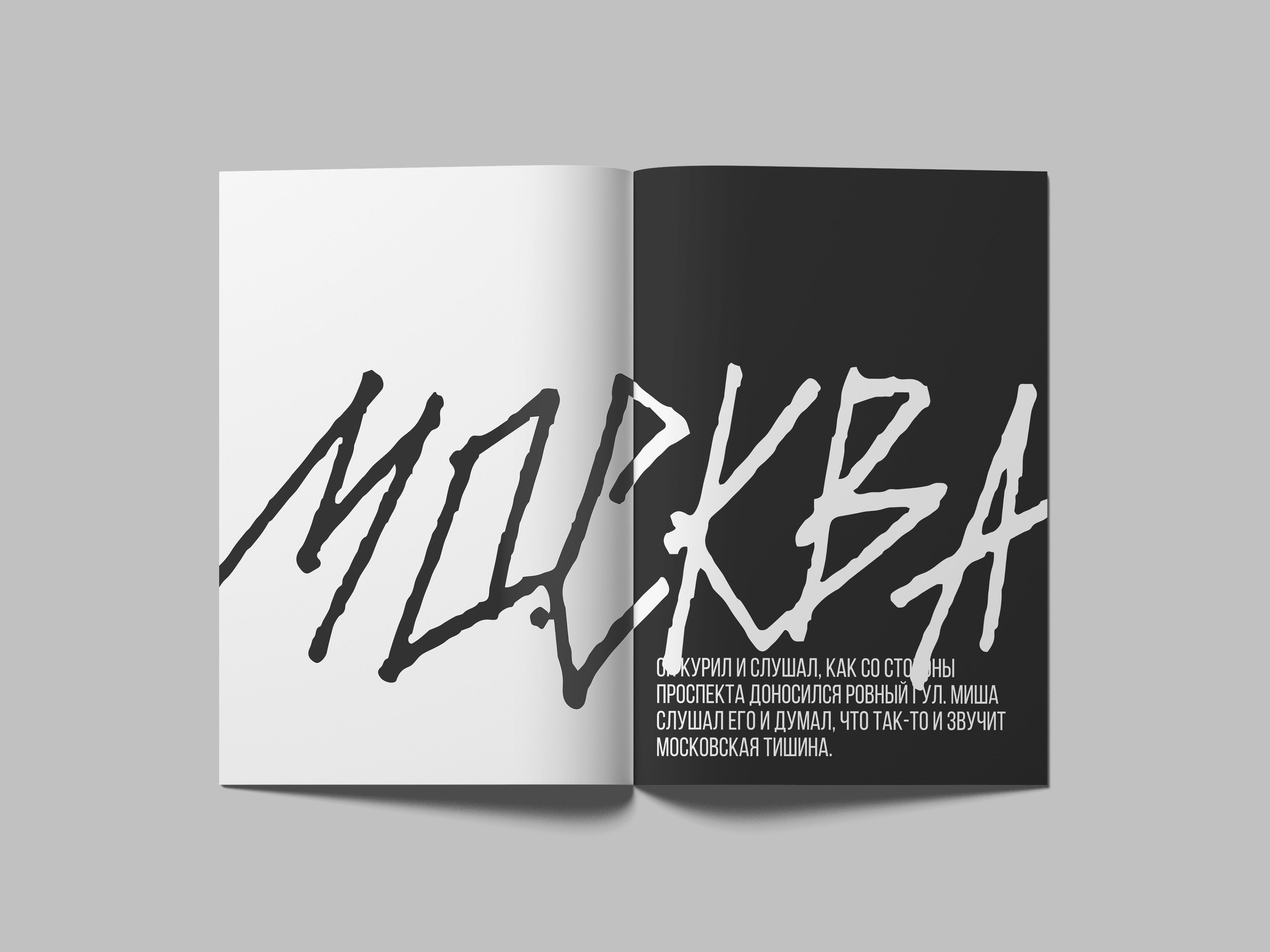 ЗИН "МОСКВА" — Изображение №6 — Иллюстрация, Графика на Dprofile