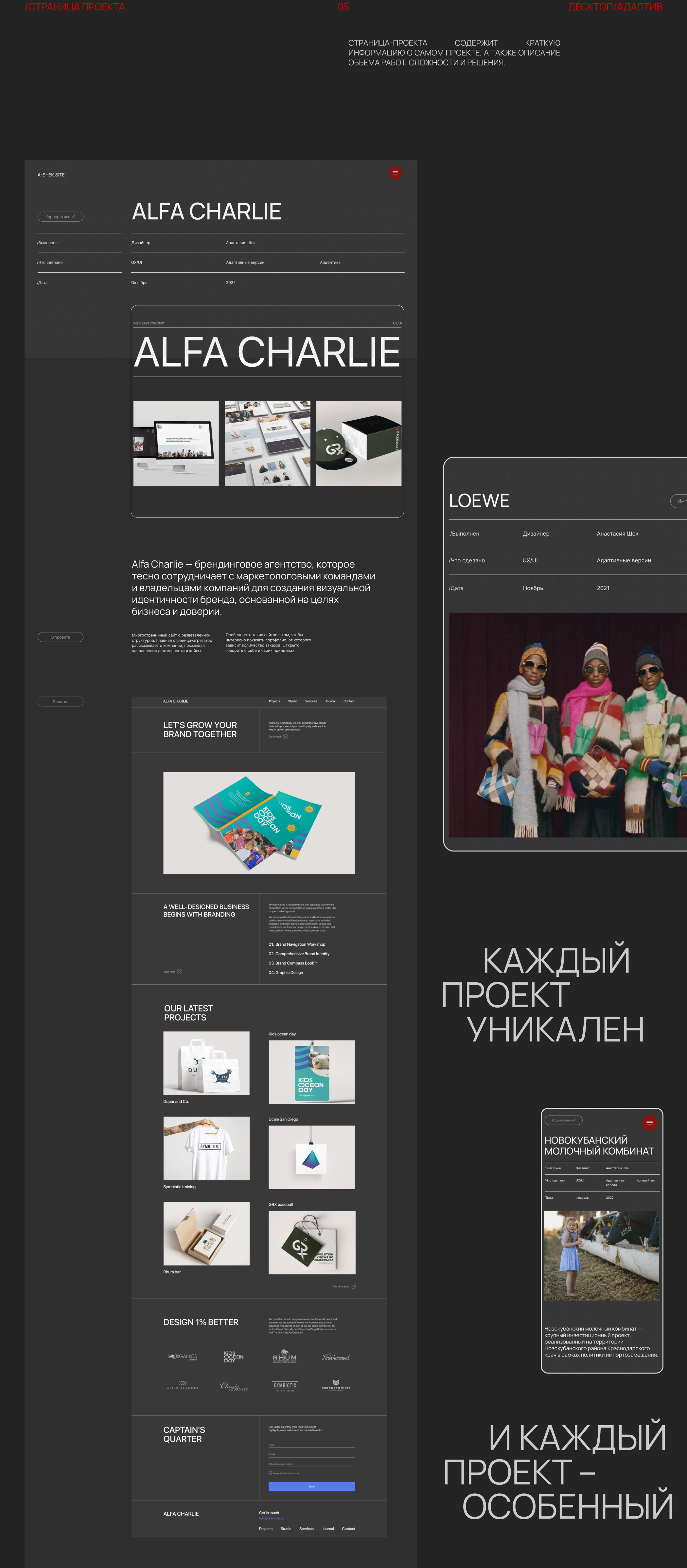 Портфолио веб-дизайнера — Изображение №9 — Интерфейсы, Брендинг на Dprofile